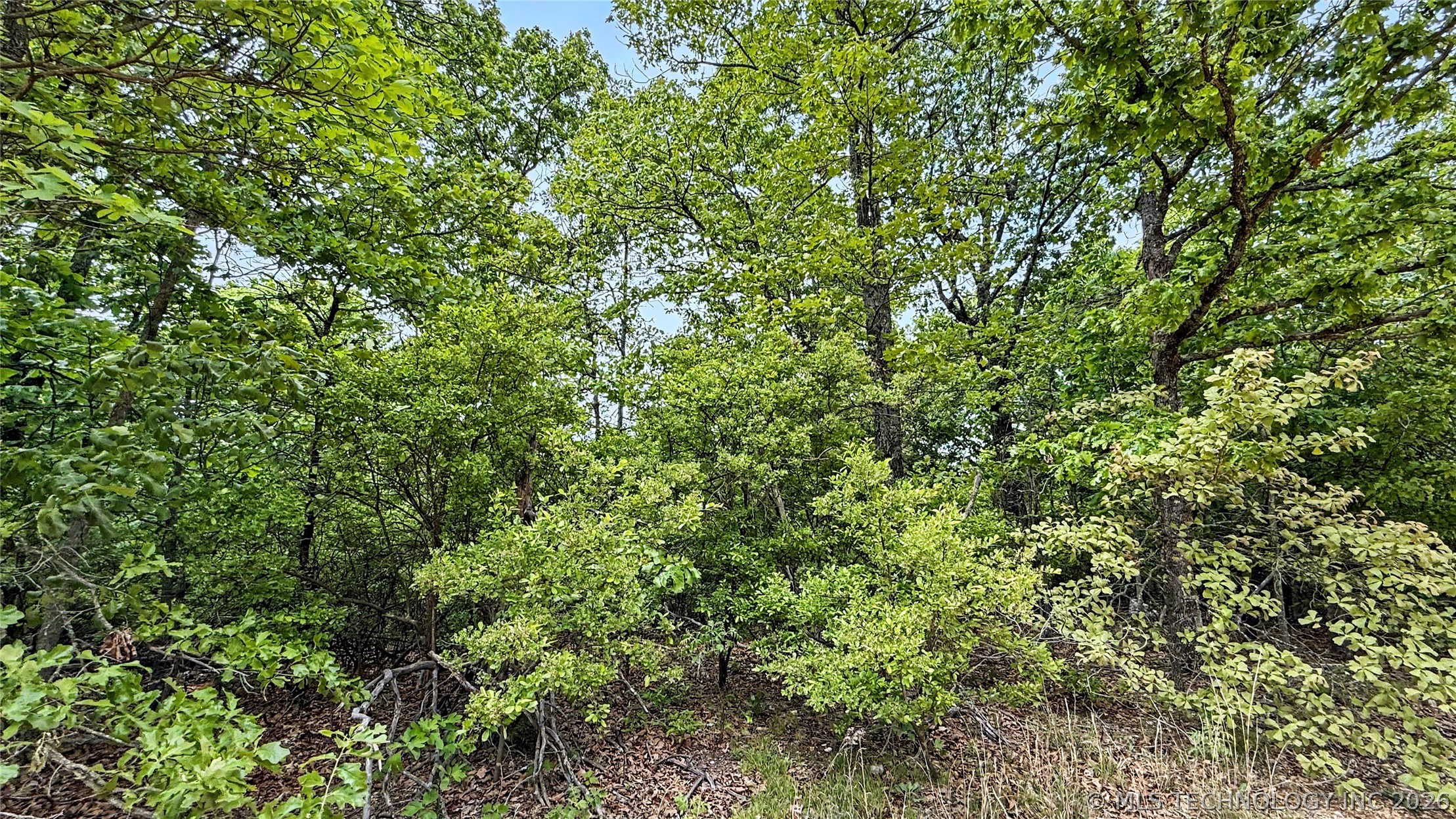 28077 Lame Deer Ridge Road Property Photo 5