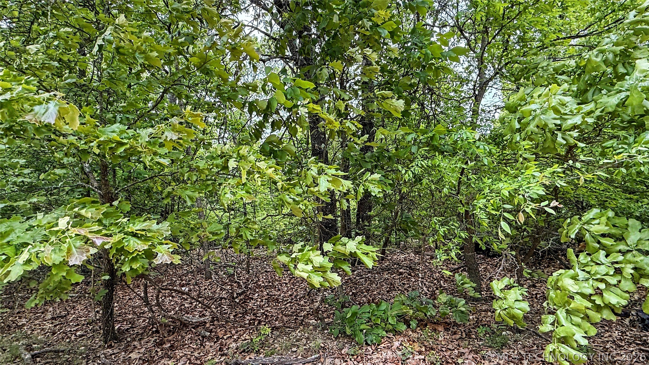 28077 Lame Deer Ridge Road Property Photo 6