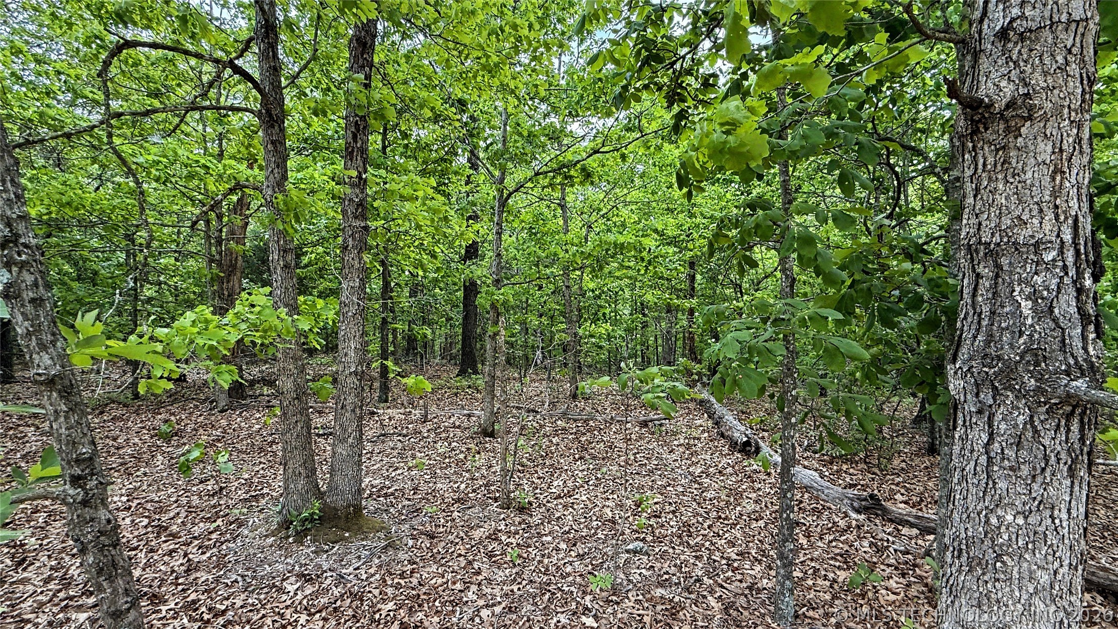 28077 Lame Deer Ridge Road Property Photo 8