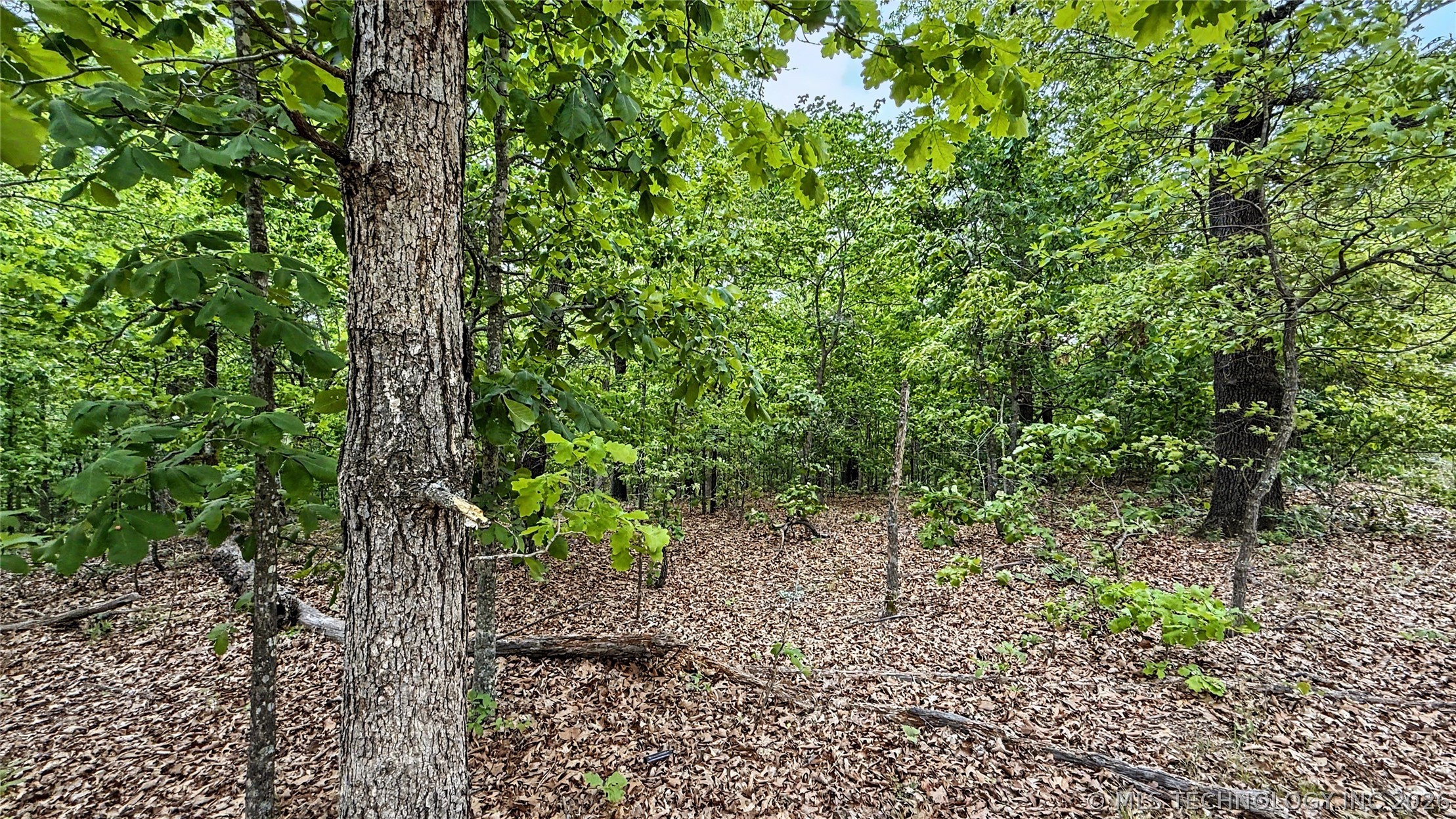 28077 Lame Deer Ridge Road Property Photo 9