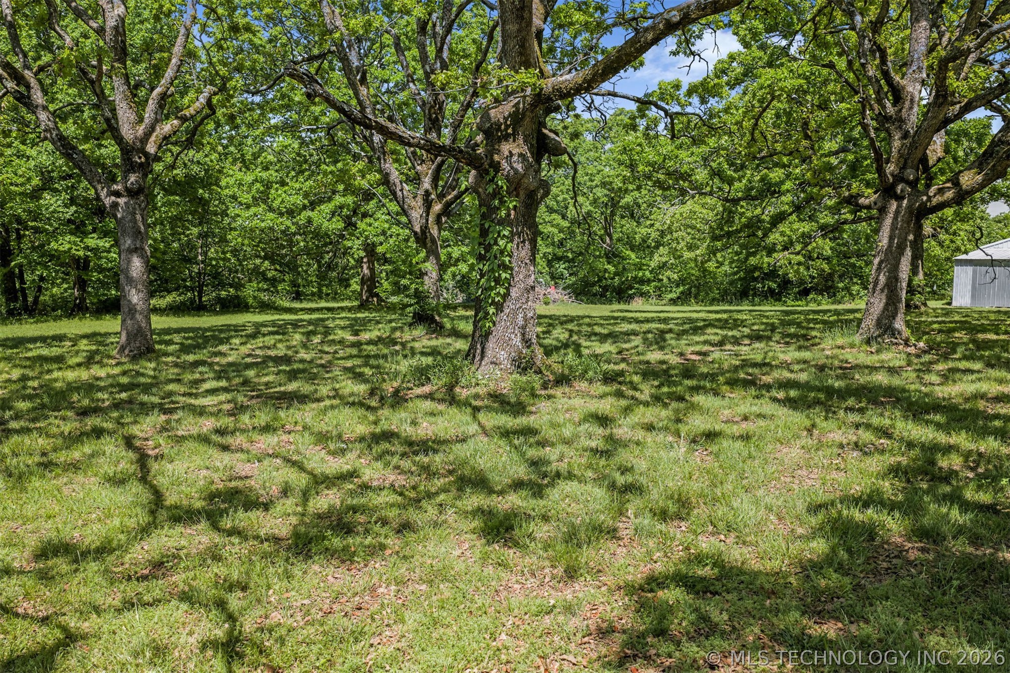 15083 State Highway 82 Property Photo 54