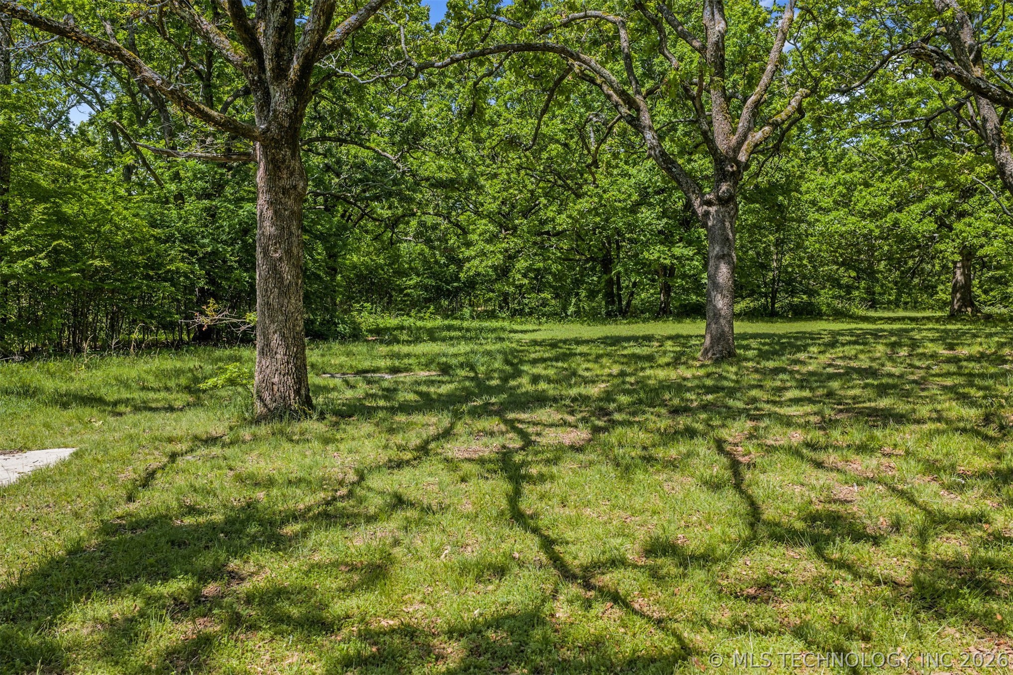 15083 State Highway 82 Property Photo 56