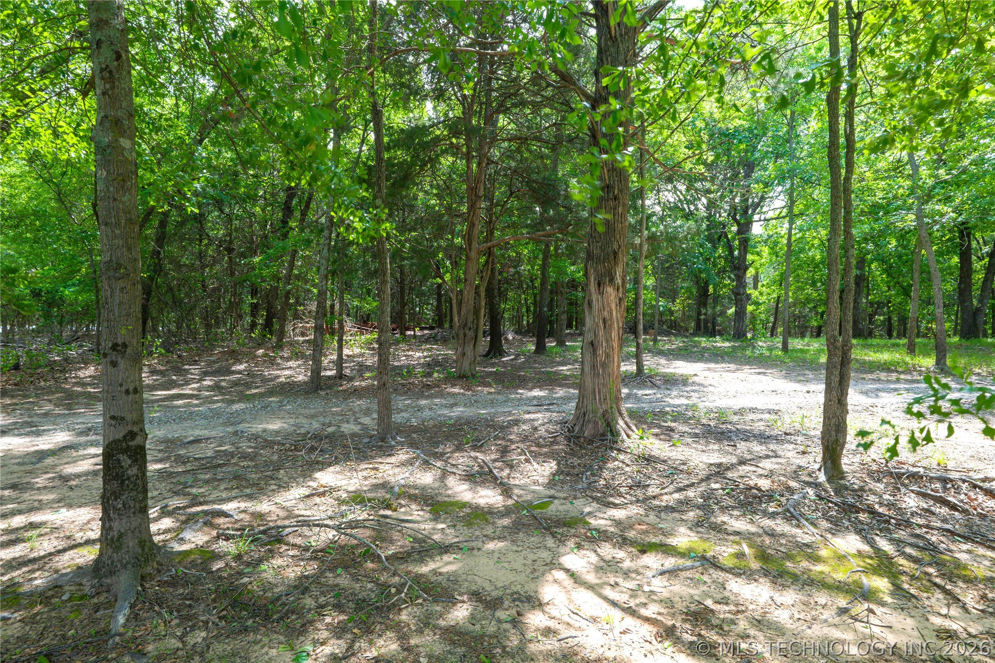 52 Ash Court Property Photo 45
