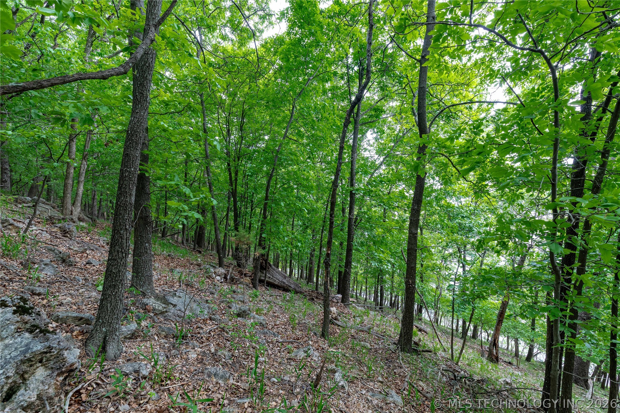 Lakeside Drive Property Photo 7