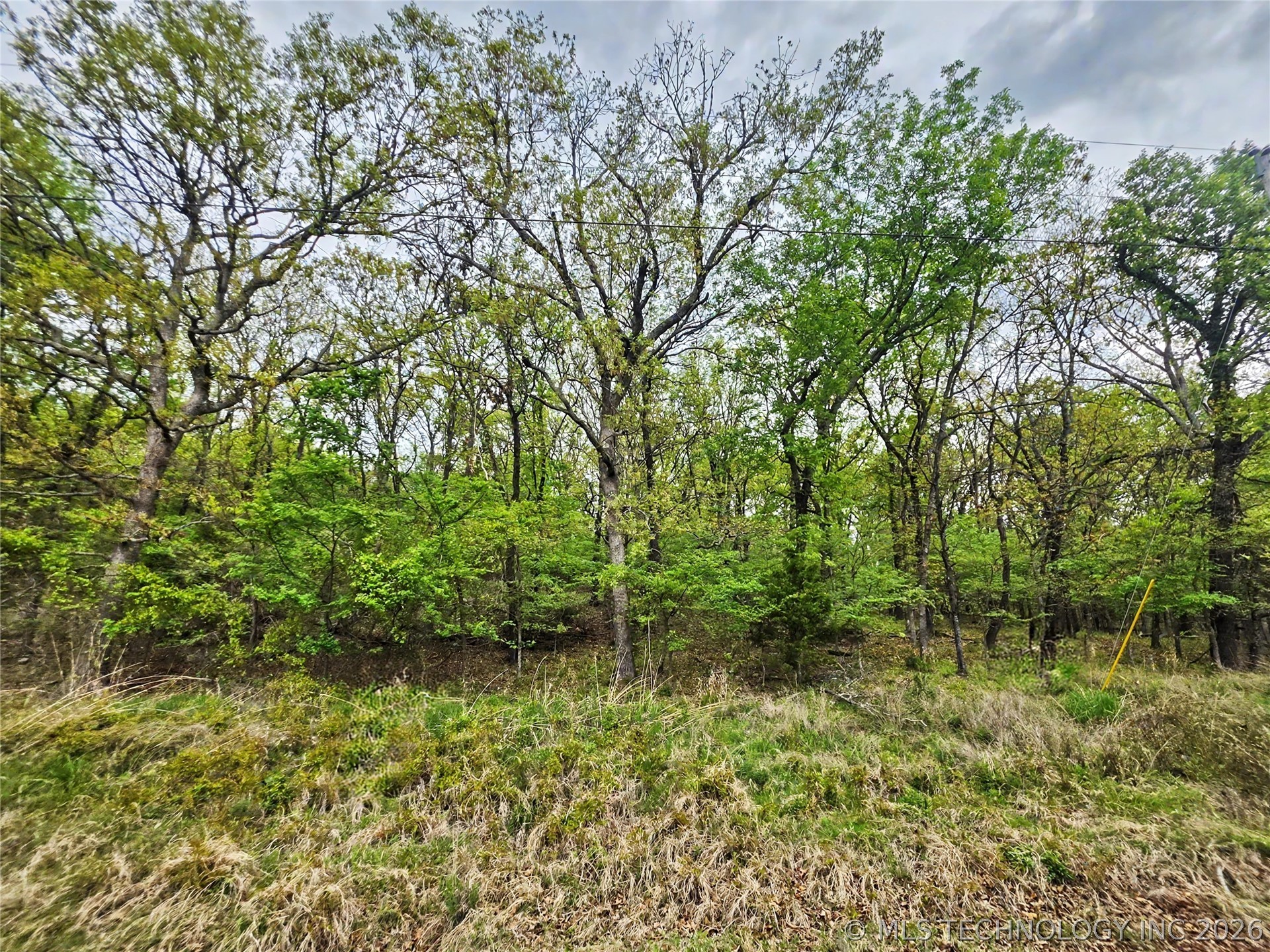 0000 W Sugar Mountain Circle Property Photo 1