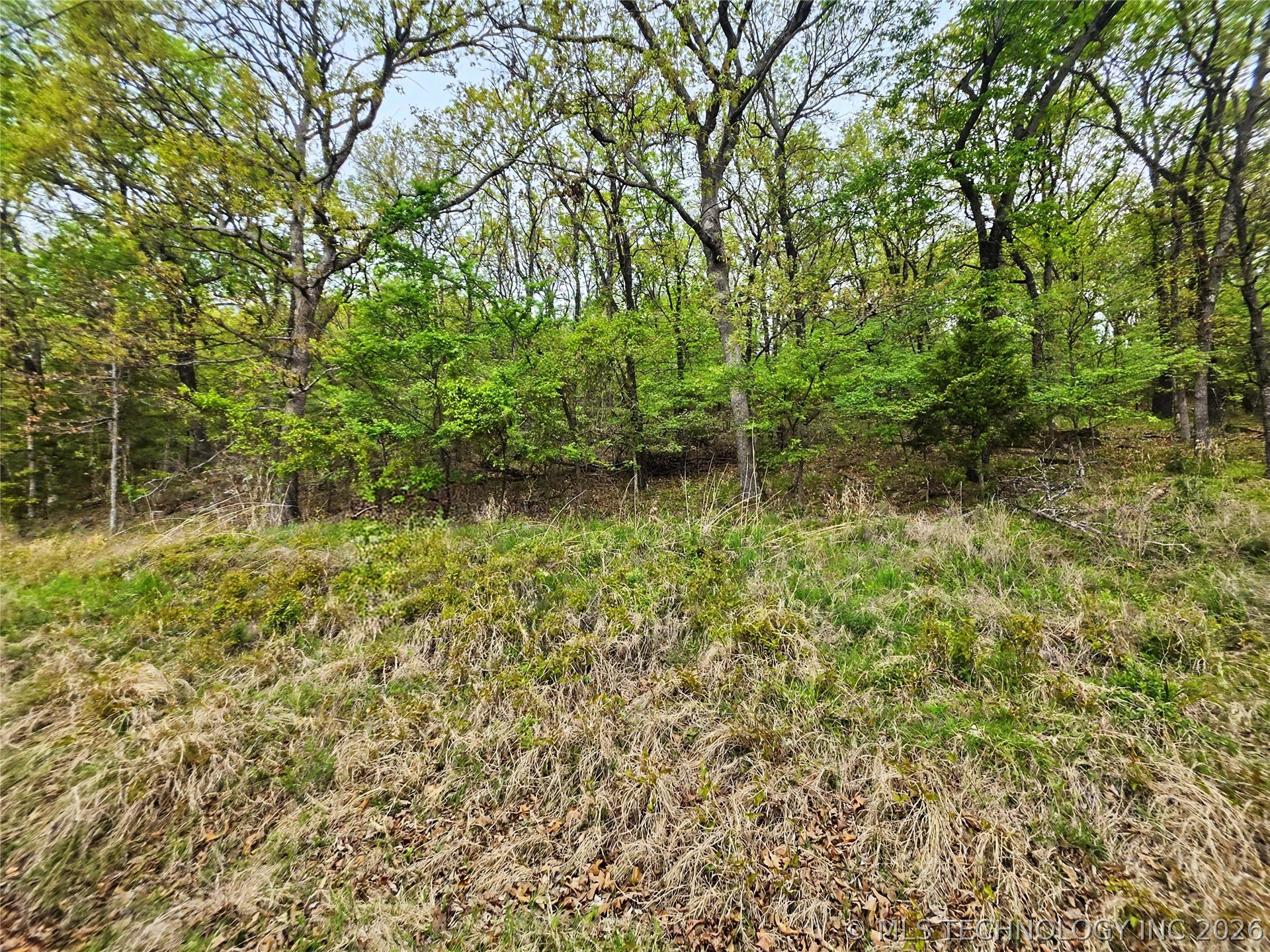0000 W Sugar Mountain Circle Property Photo 3