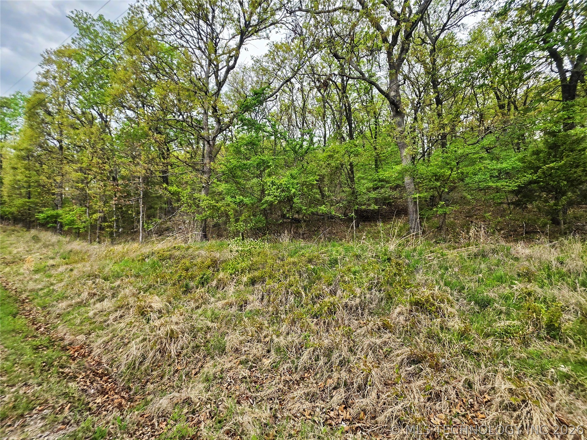 0000 W Sugar Mountain Circle Property Photo 4
