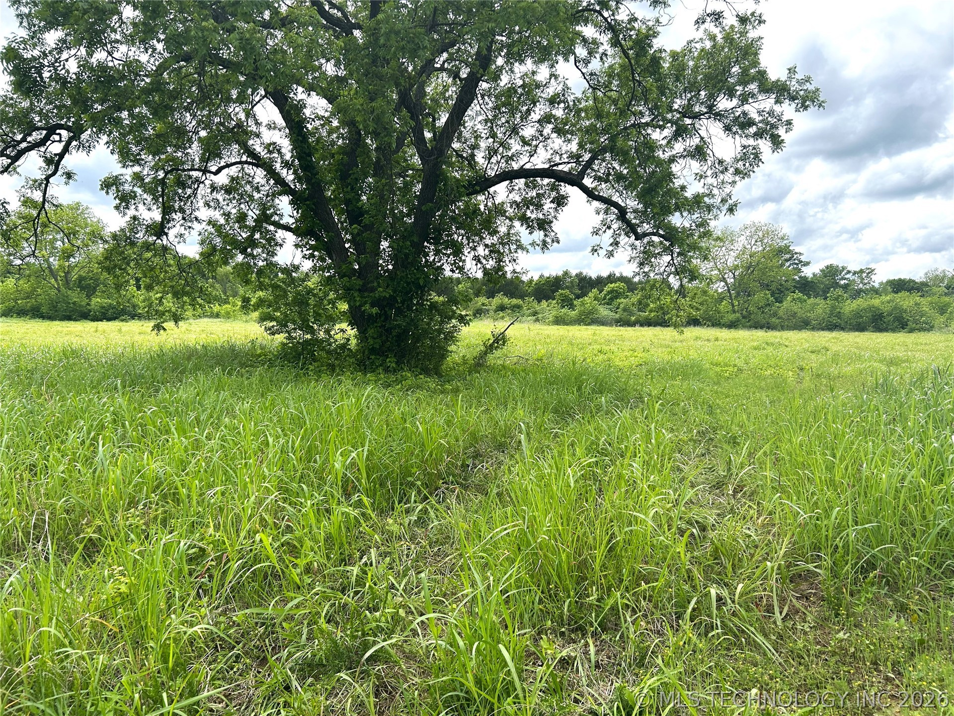 County Road 3450 Property Photo 3
