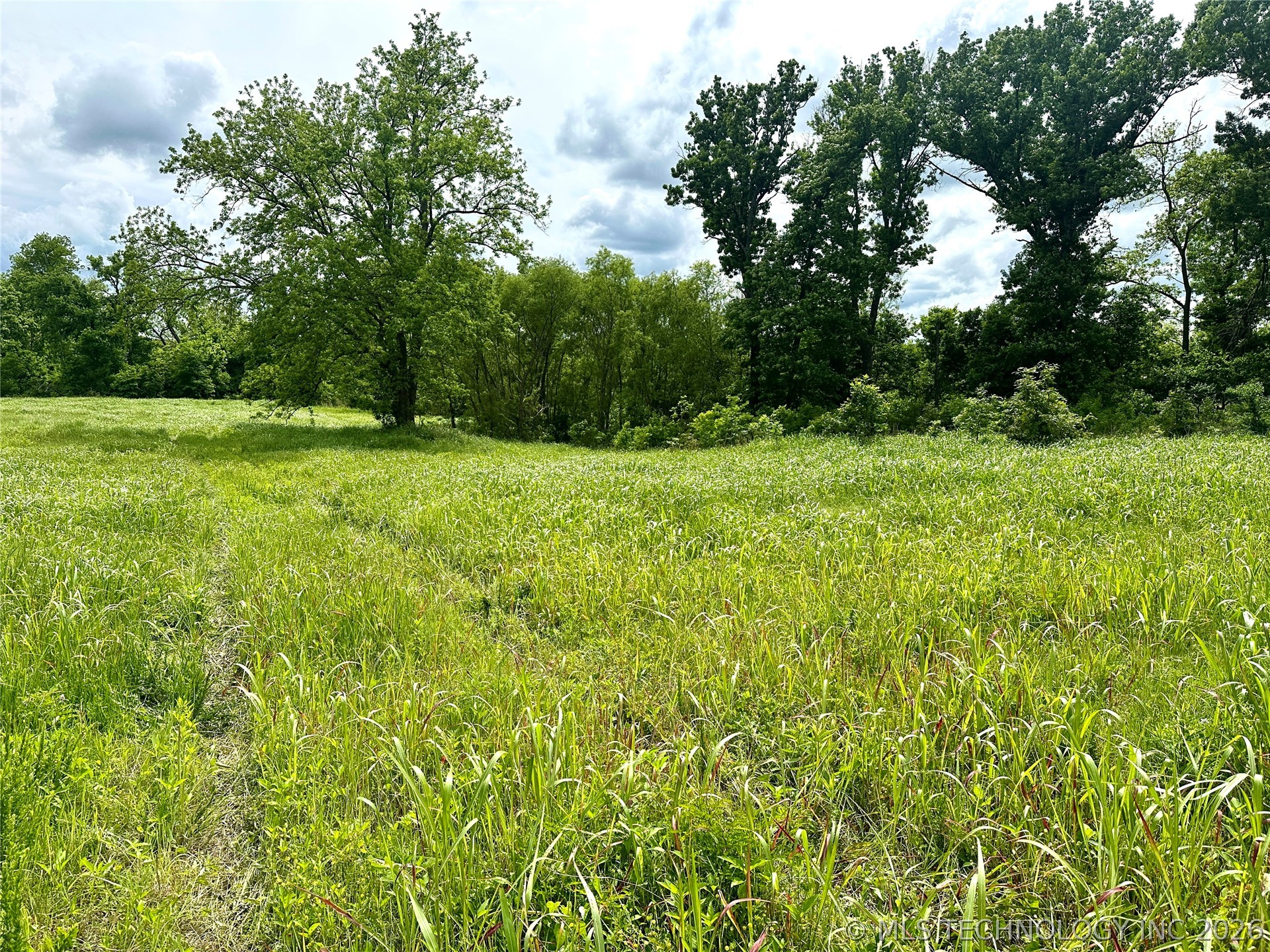 County Road 3450 Property Photo 6