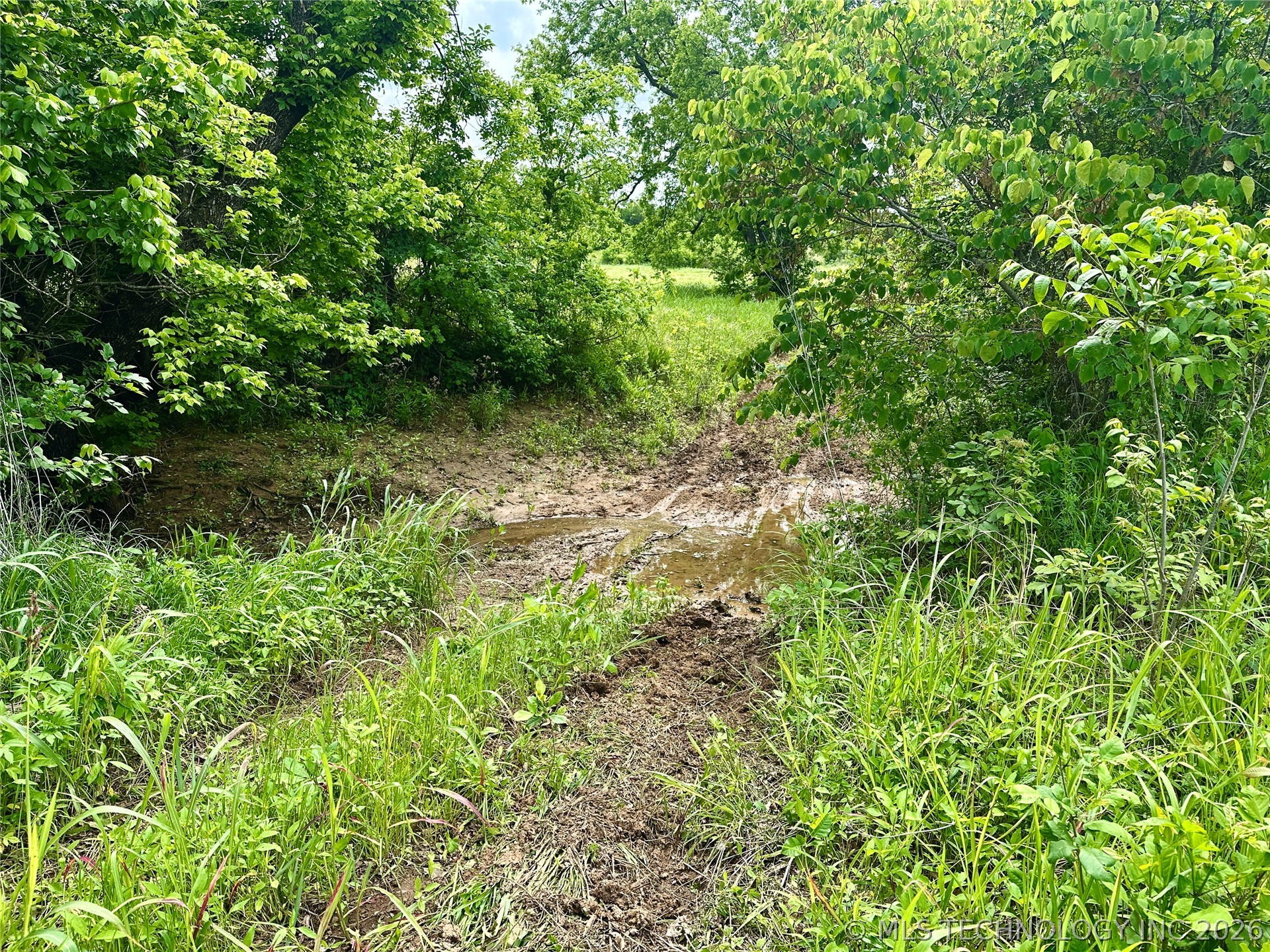 County Road 3450 Property Photo 9