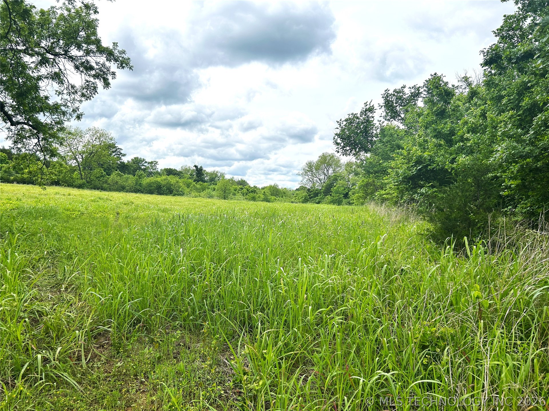 County Road 3450 Property Photo 10
