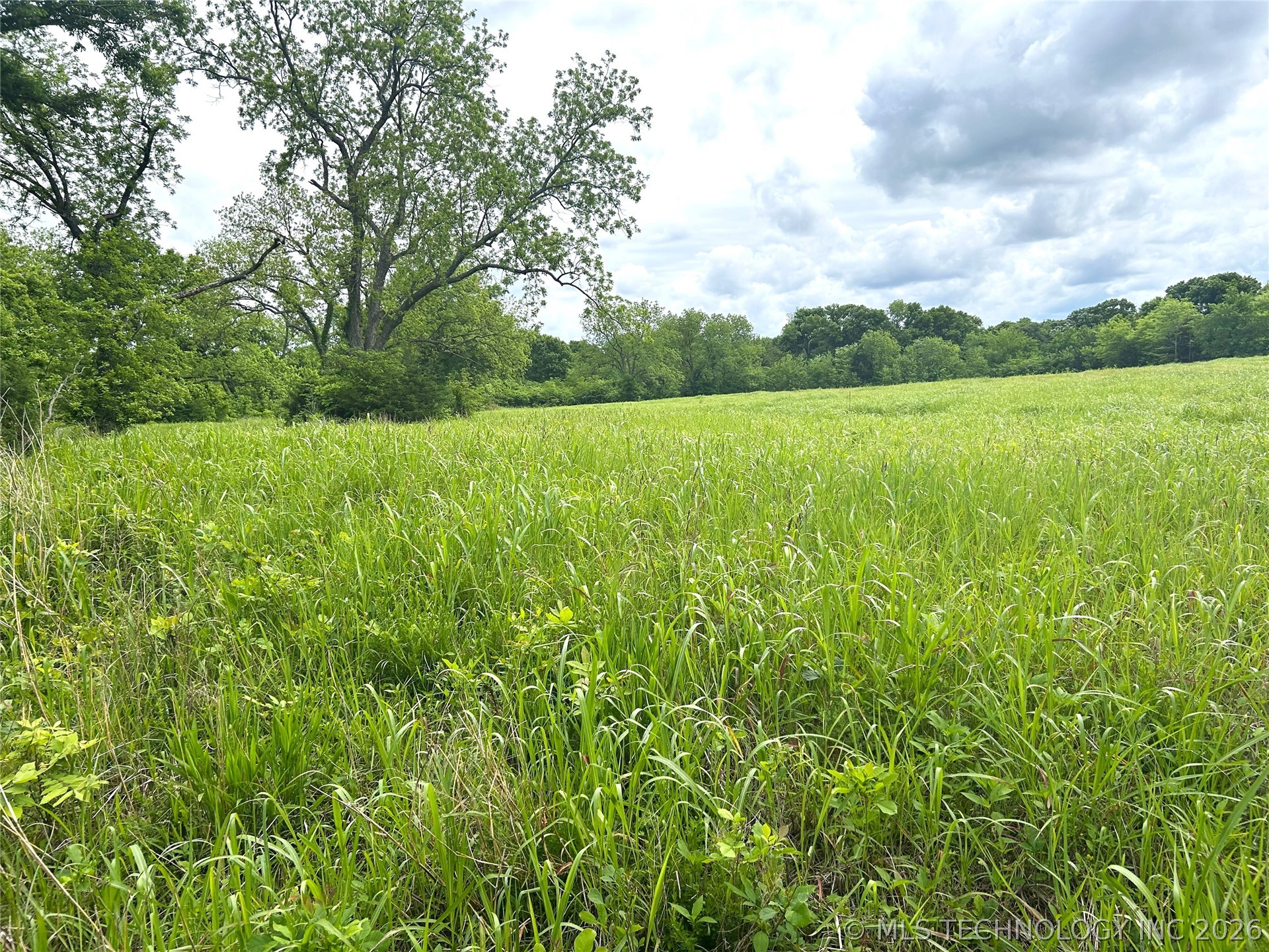 County Road 3450 Property Photo 14