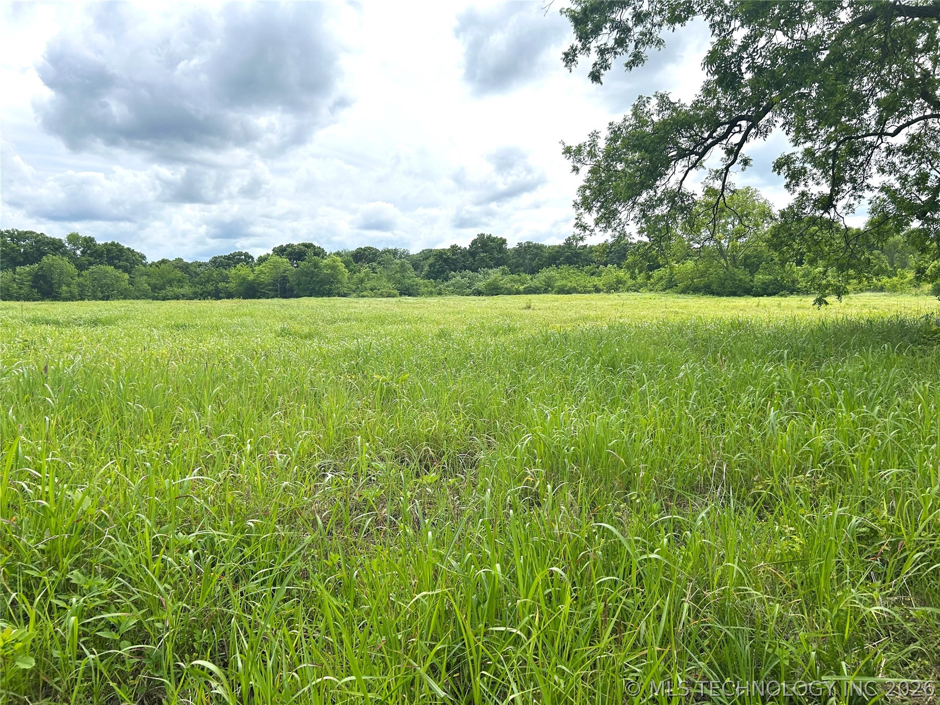 County Road 3450 Property Photo 16