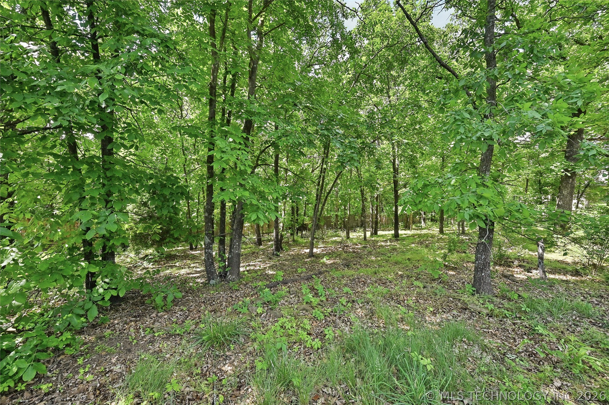 128 New Haven Street Property Photo 38