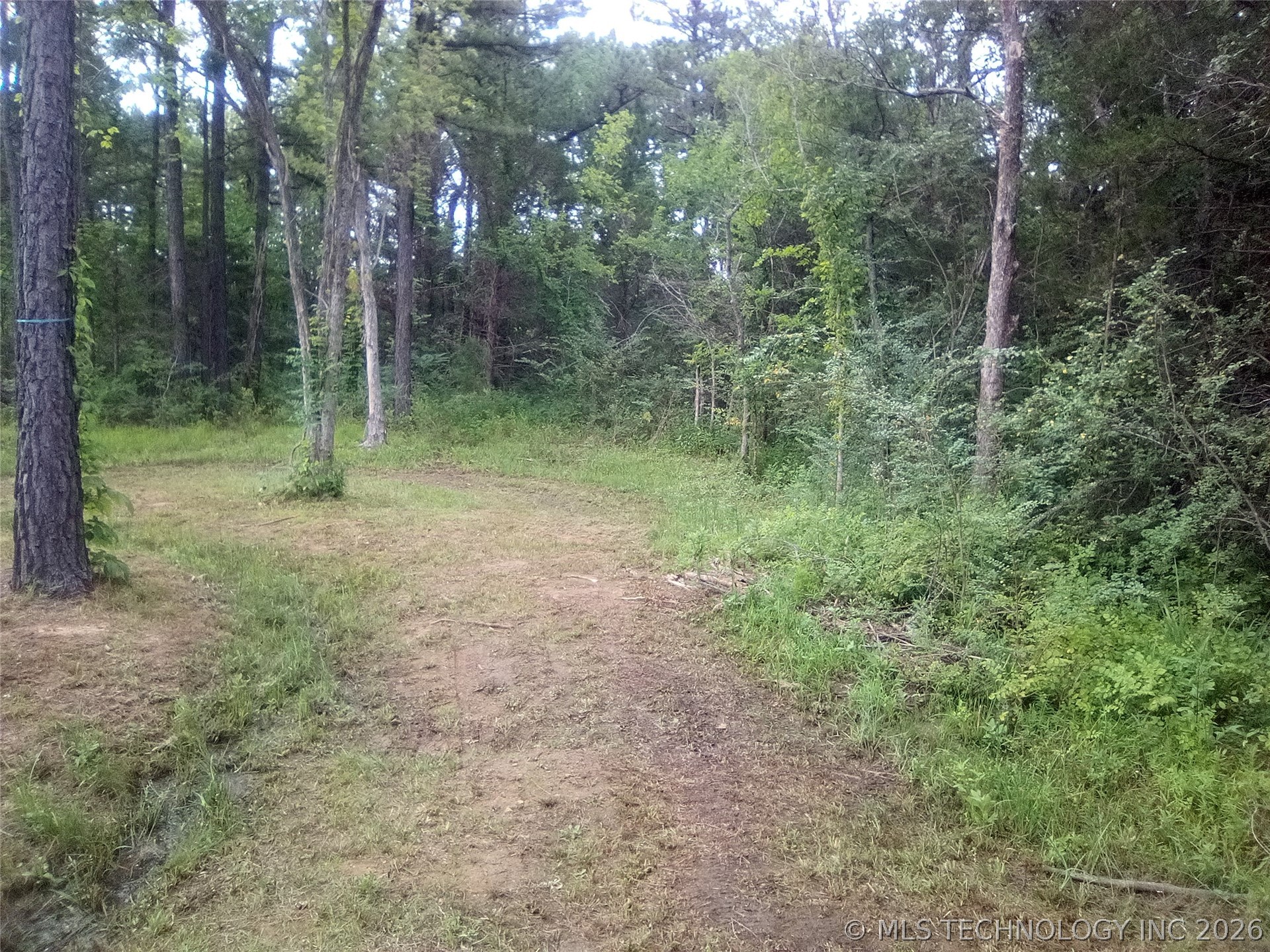 21 County Line Road E Property Photo 30