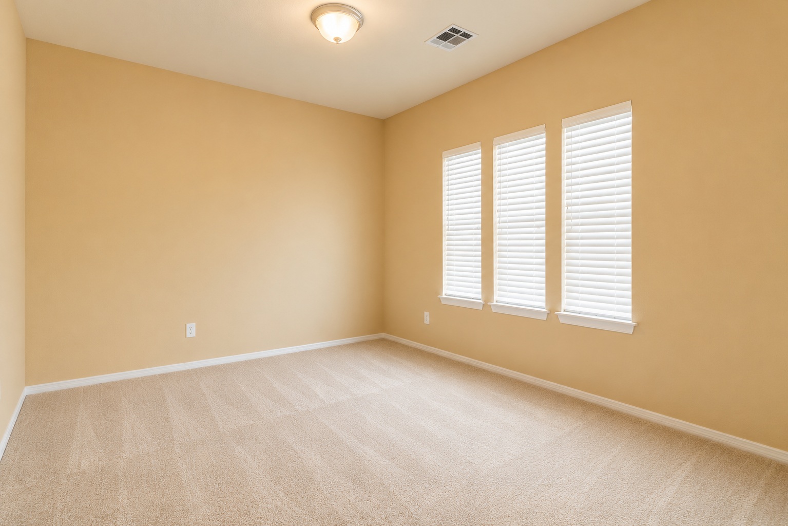 4213 S Palm Avenue Property Photo 19