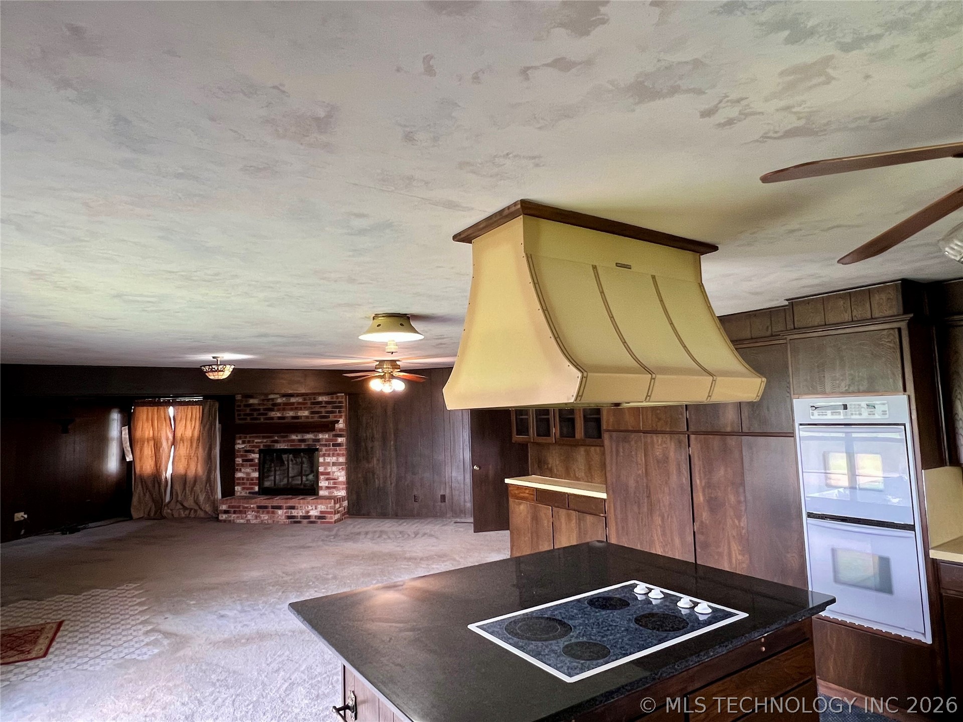 11252 S Hwy 377 Property Photo 46