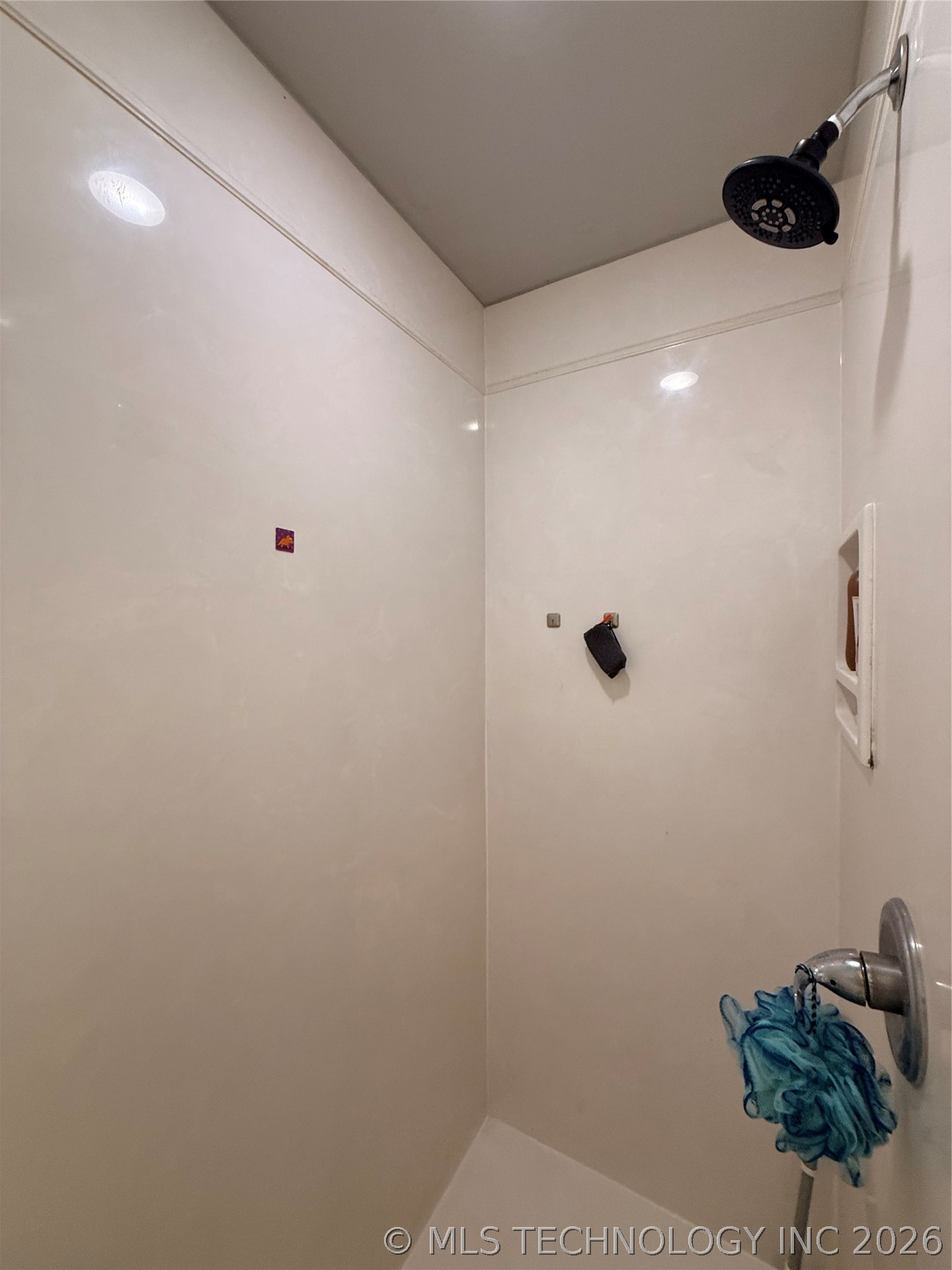 114 Lake Meadow Loop Drive Property Photo 15