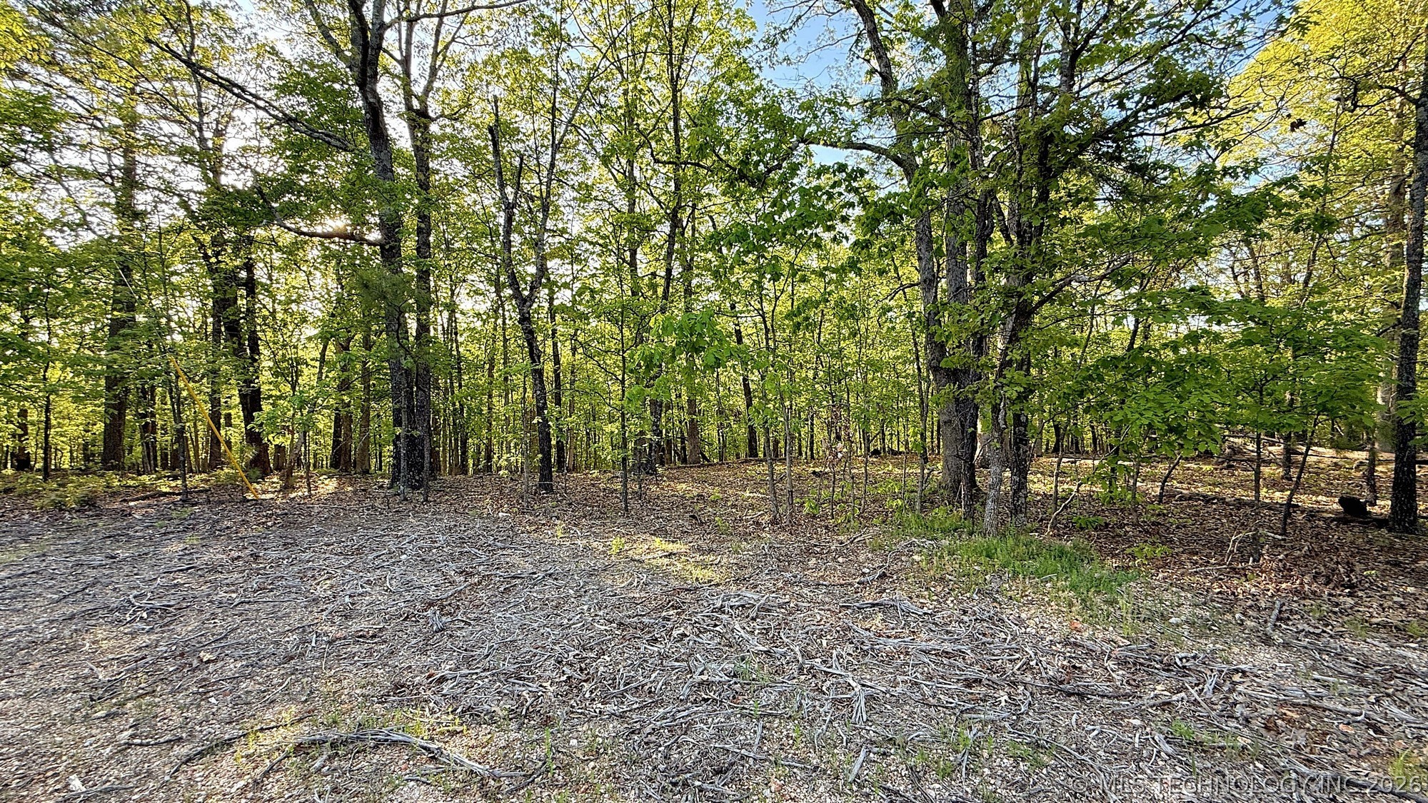 187 Bear Lake Road Property Photo 4