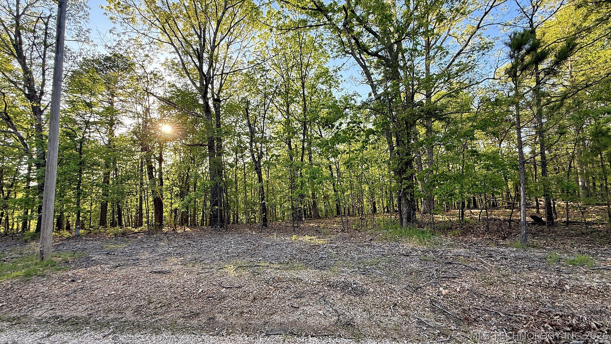187 Bear Lake Road Property Photo 5