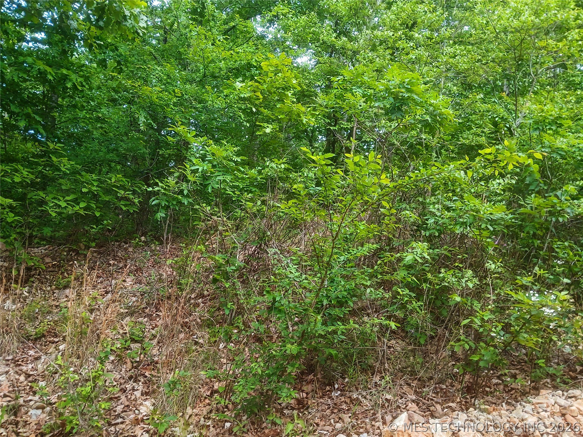 000 N 510 Road Property Photo 6