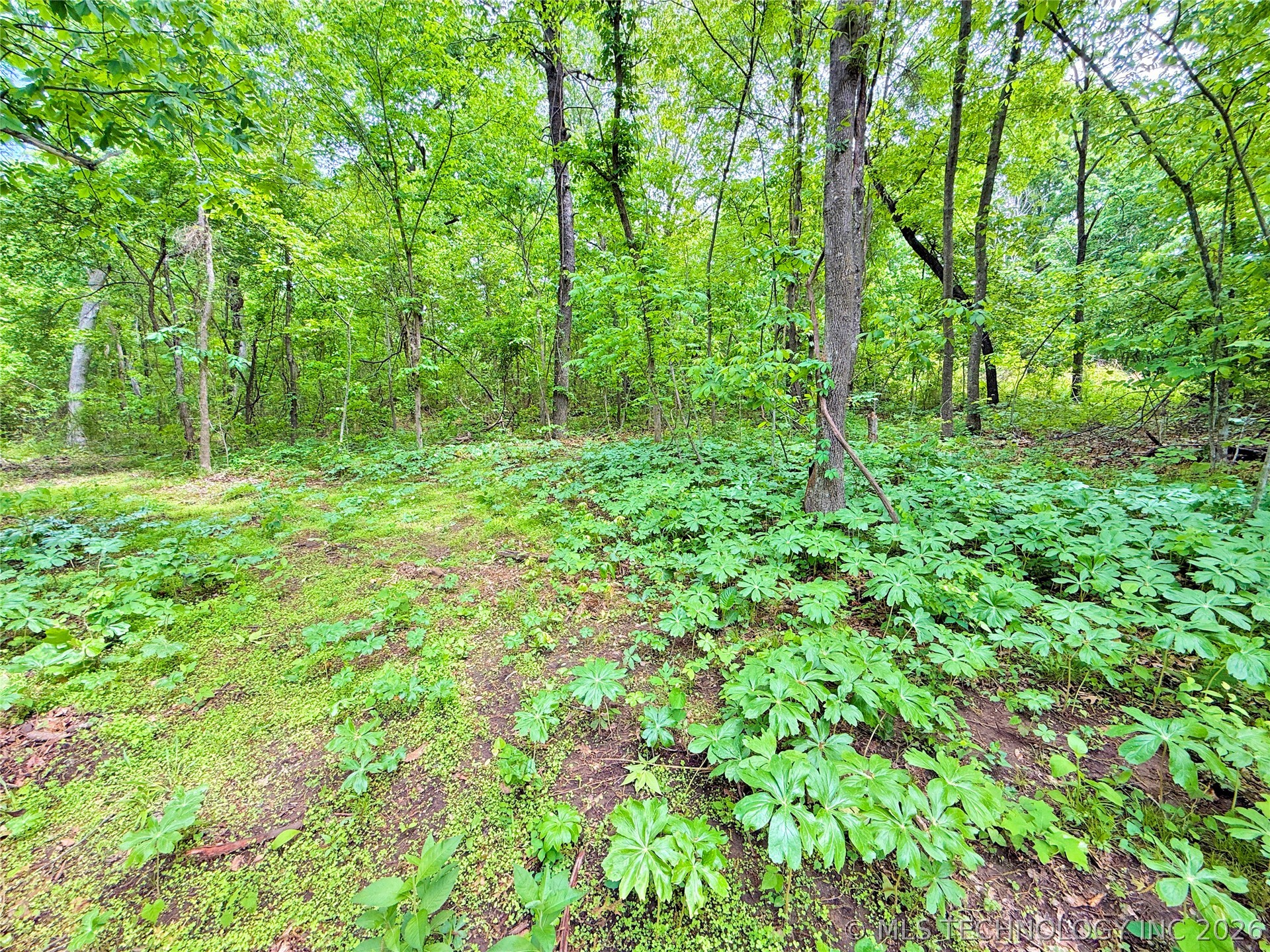 414023 E 1213 Road Property Photo 22