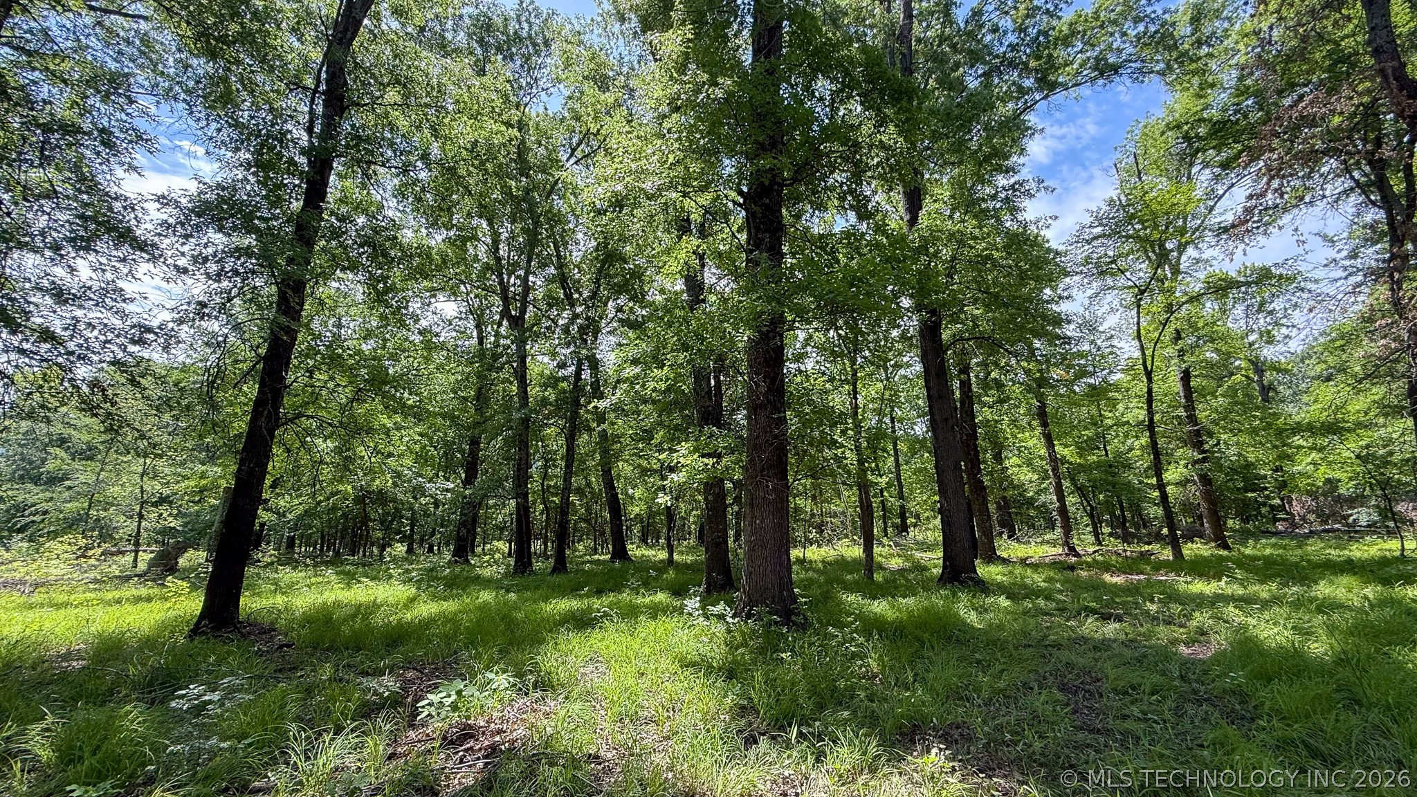 17436 Savage Road Property Photo 15