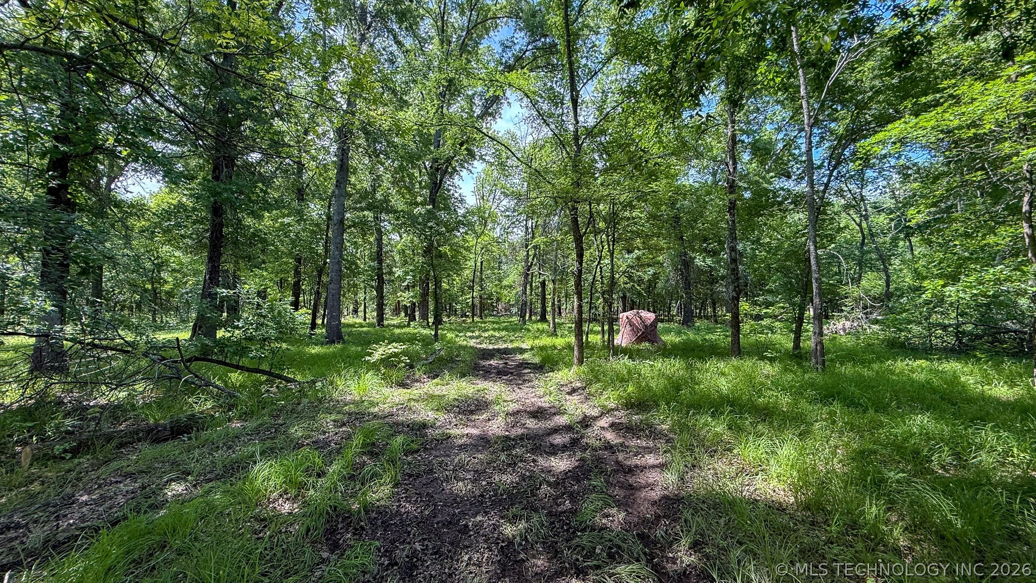 17436 Savage Road Property Photo 17