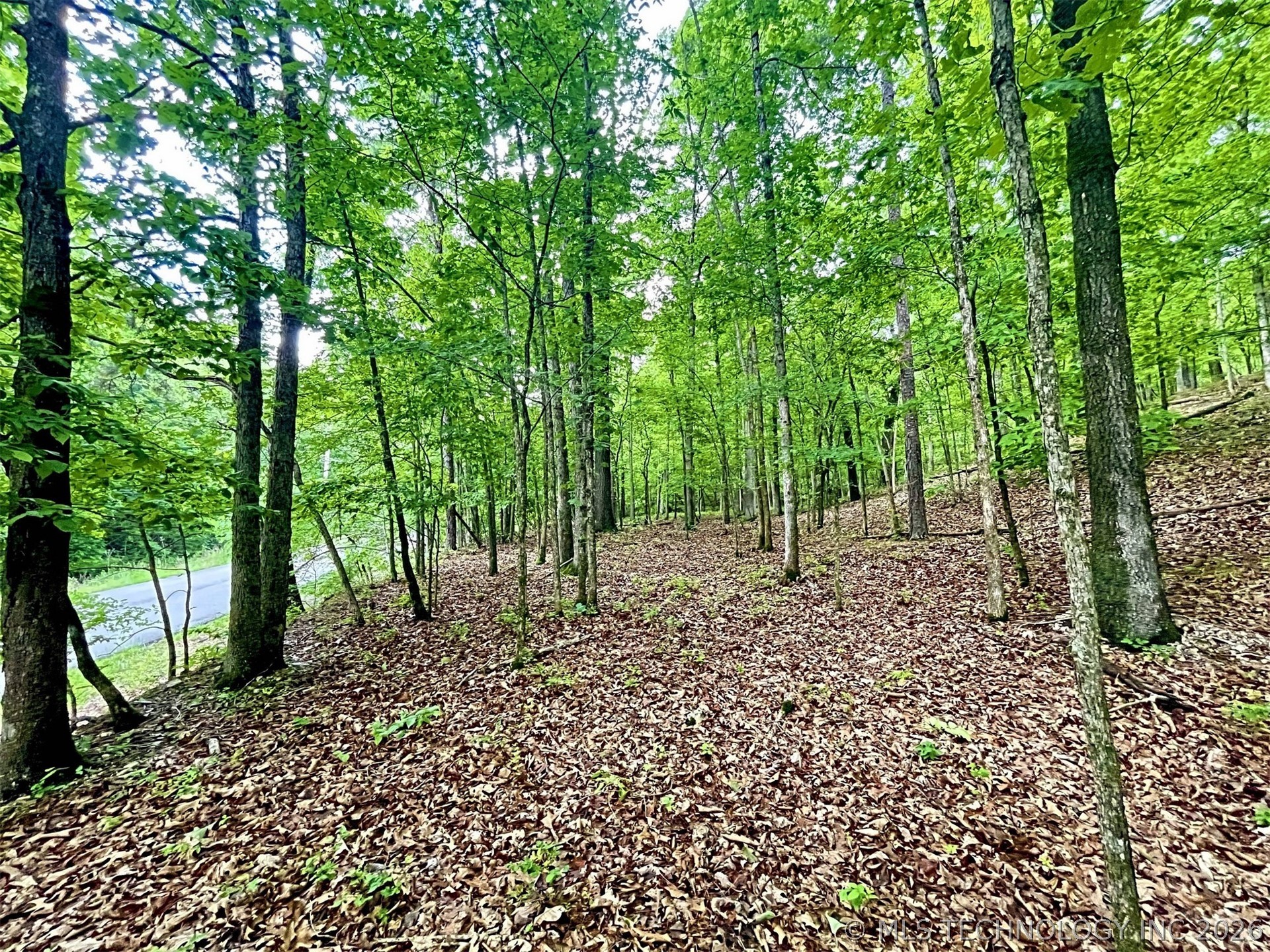 8128 W Clear Creek Road Property Photo 2
