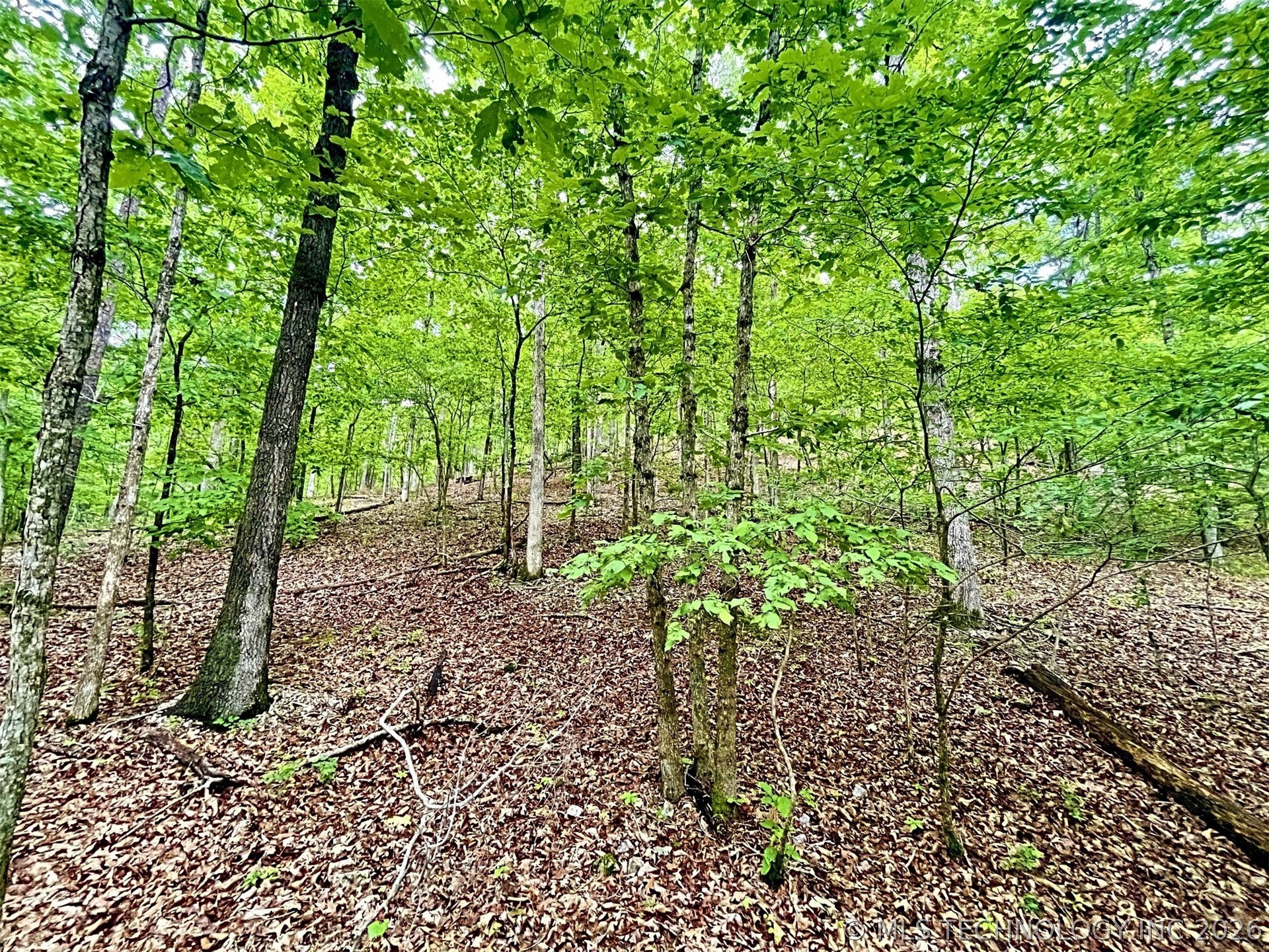 8128 W Clear Creek Road Property Photo 10