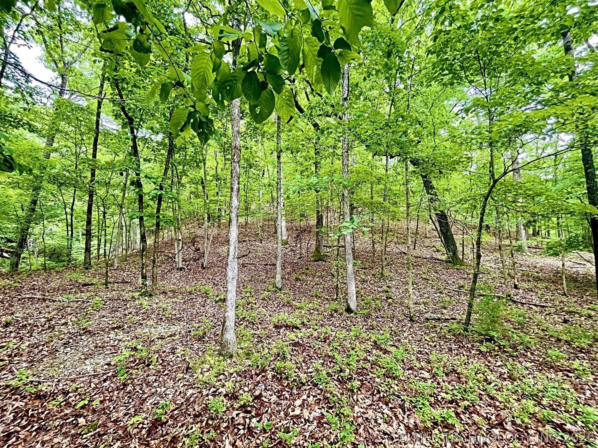 8128 W Clear Creek Road Property Photo 16