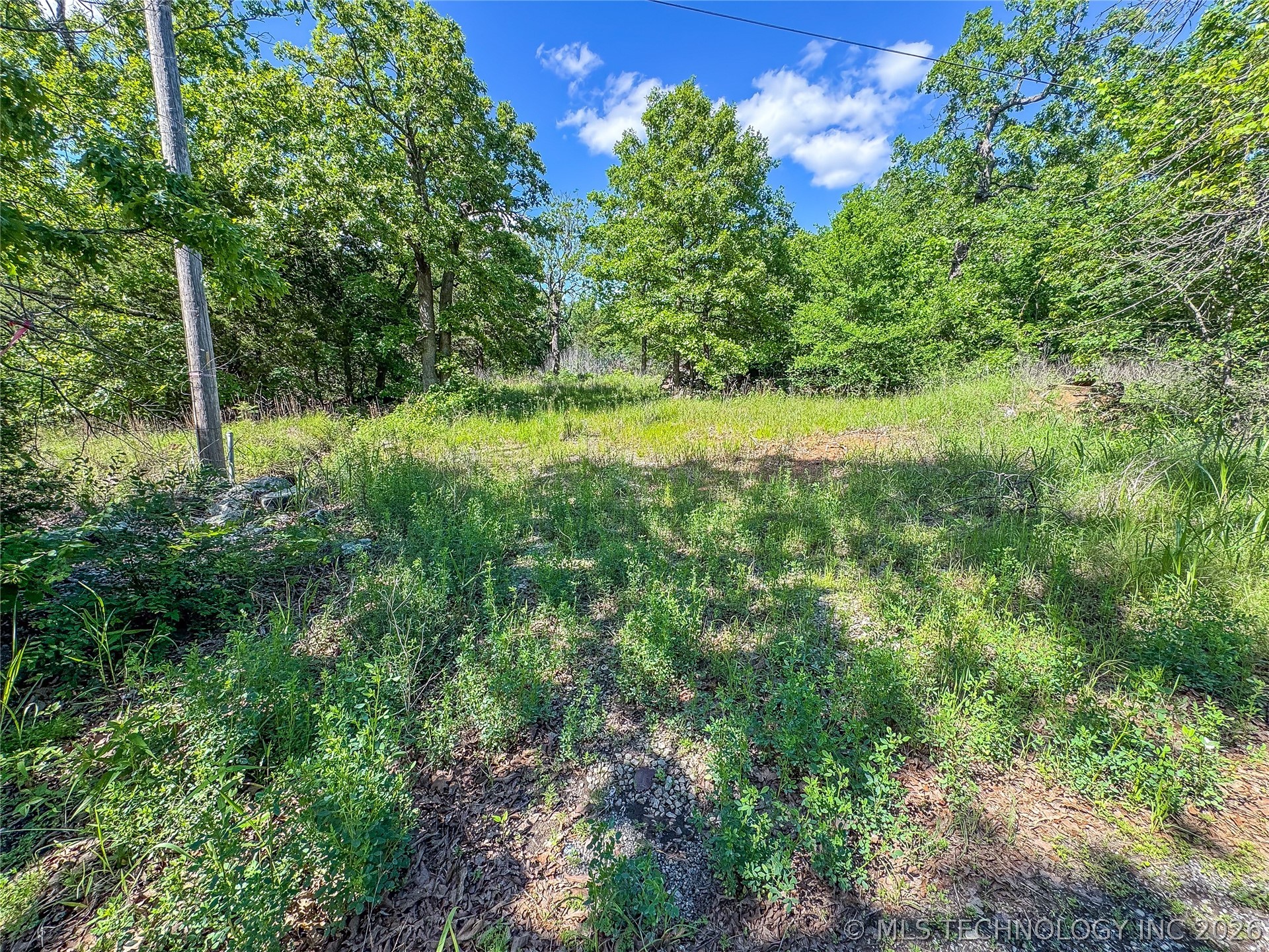 17181920 Hutson Street Property Photo 6
