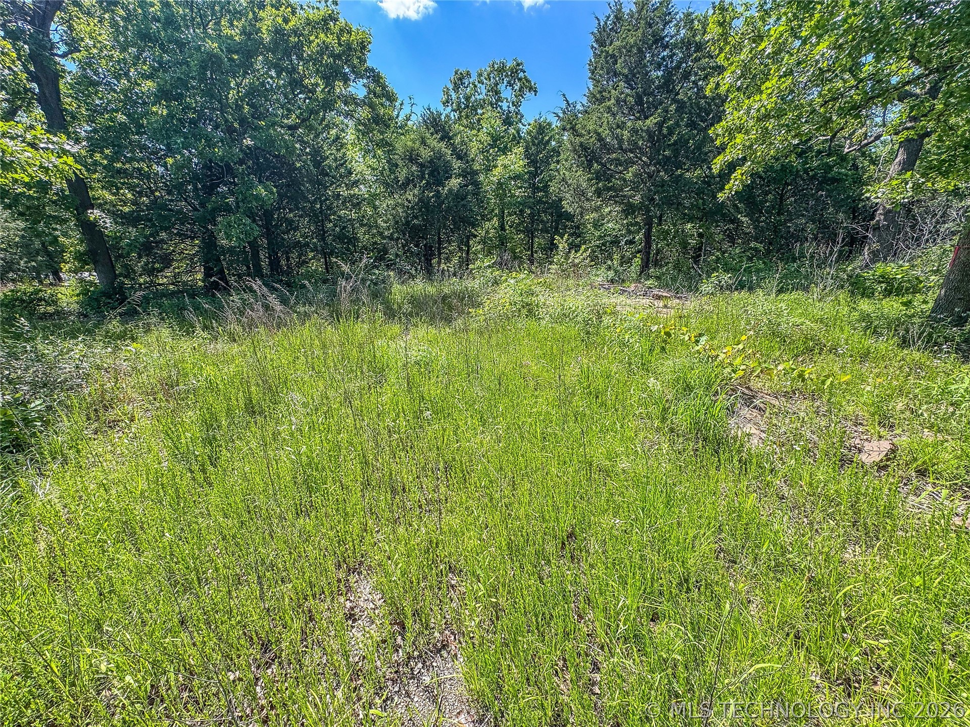 17181920 Hutson Street Property Photo 7