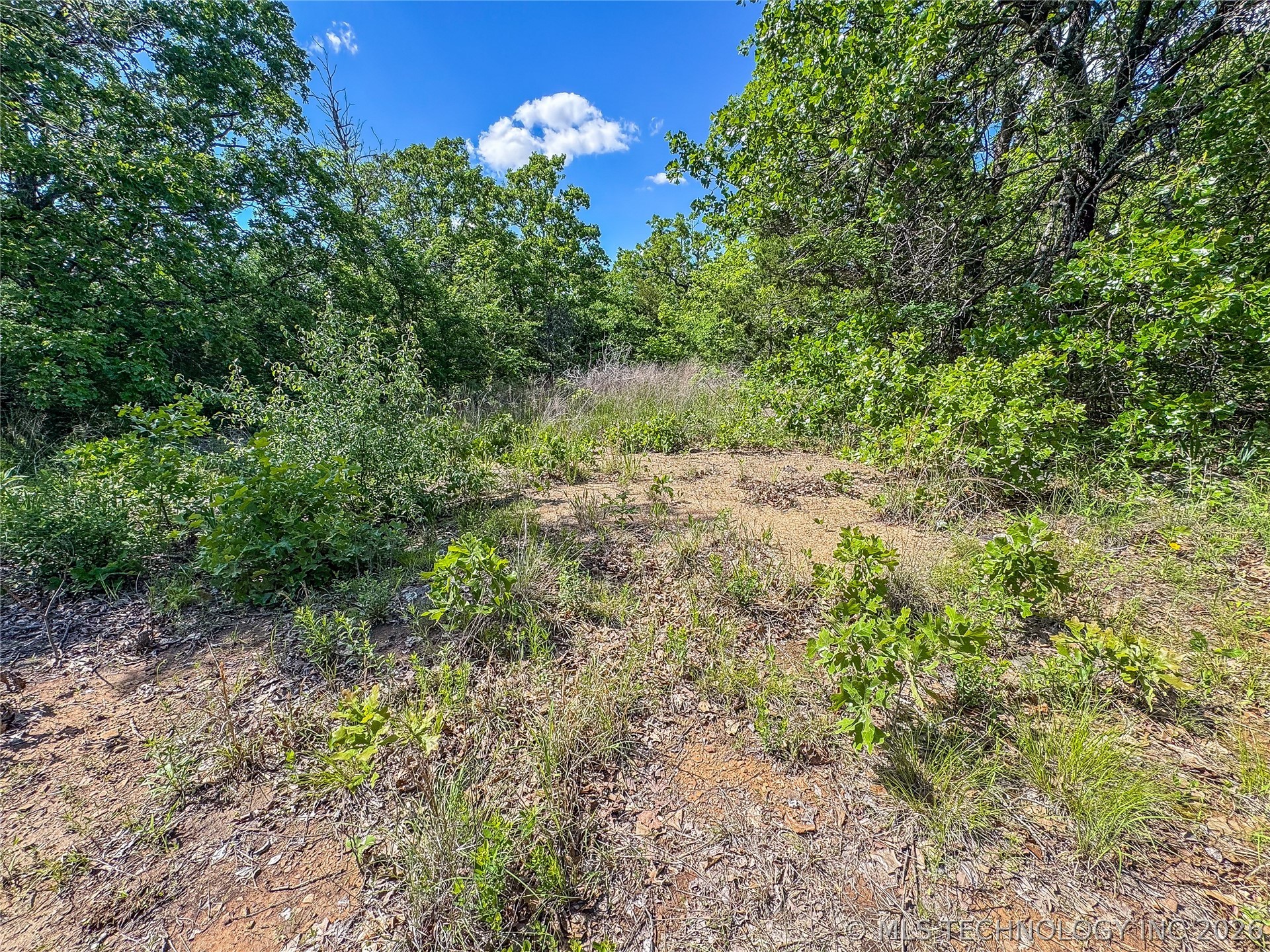 17181920 Hutson Street Property Photo 8