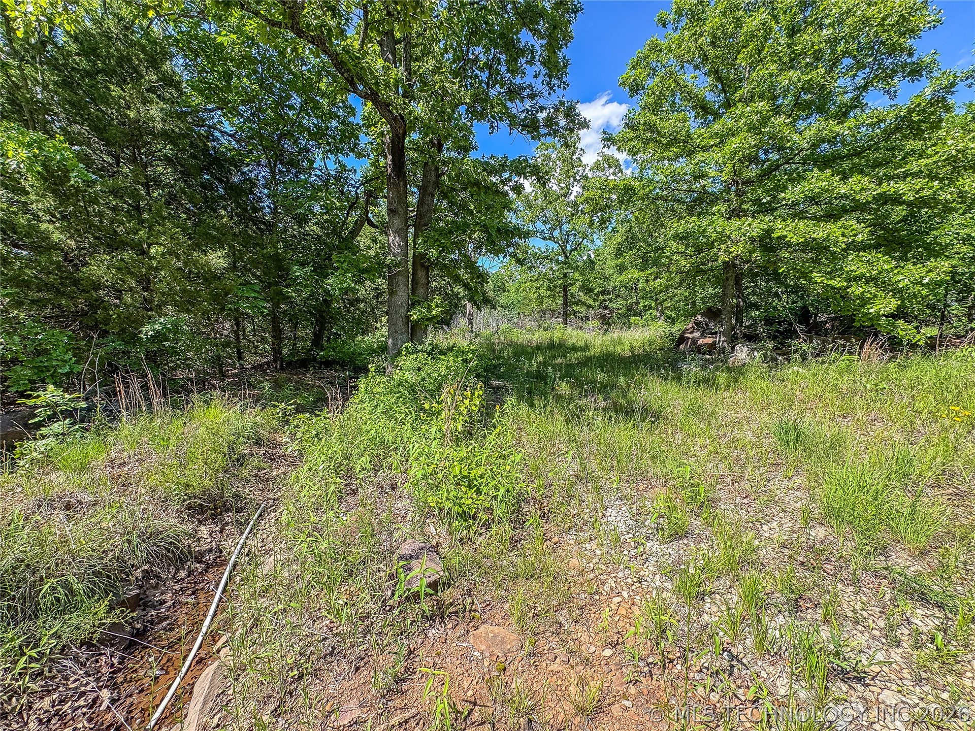17181920 Hutson Street Property Photo 9