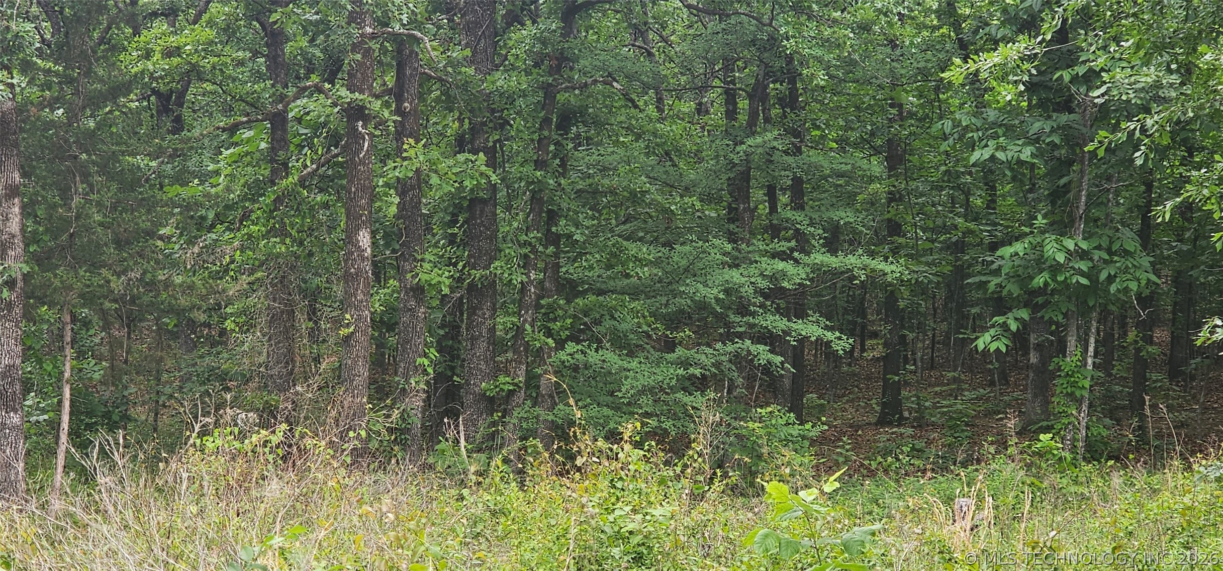 00000 4630 Road Property Photo 3