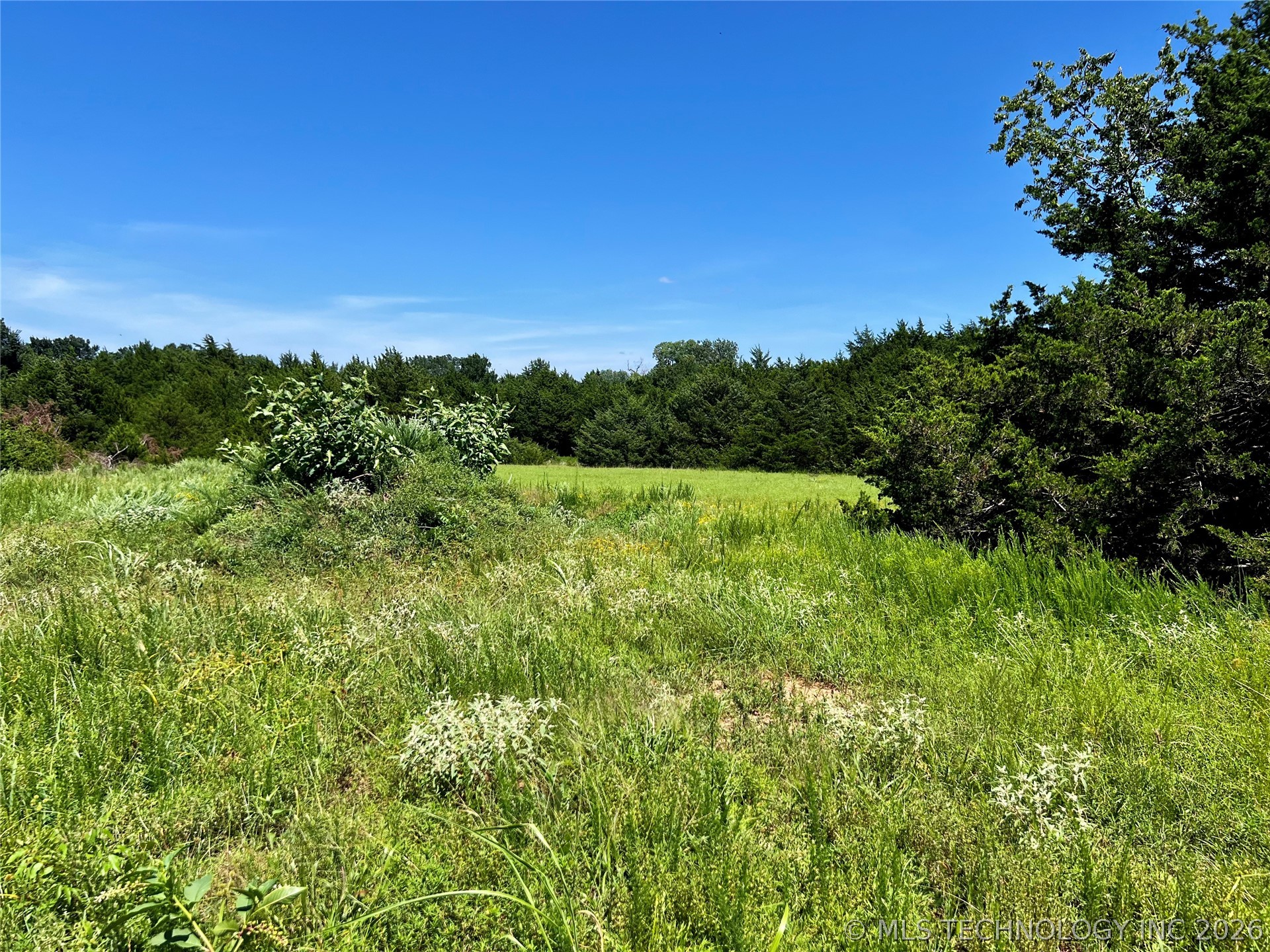 9 Dynamite Road Property Photo 4