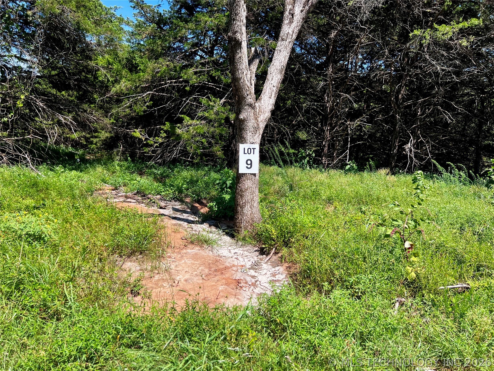 9 Dynamite Road Property Photo 10
