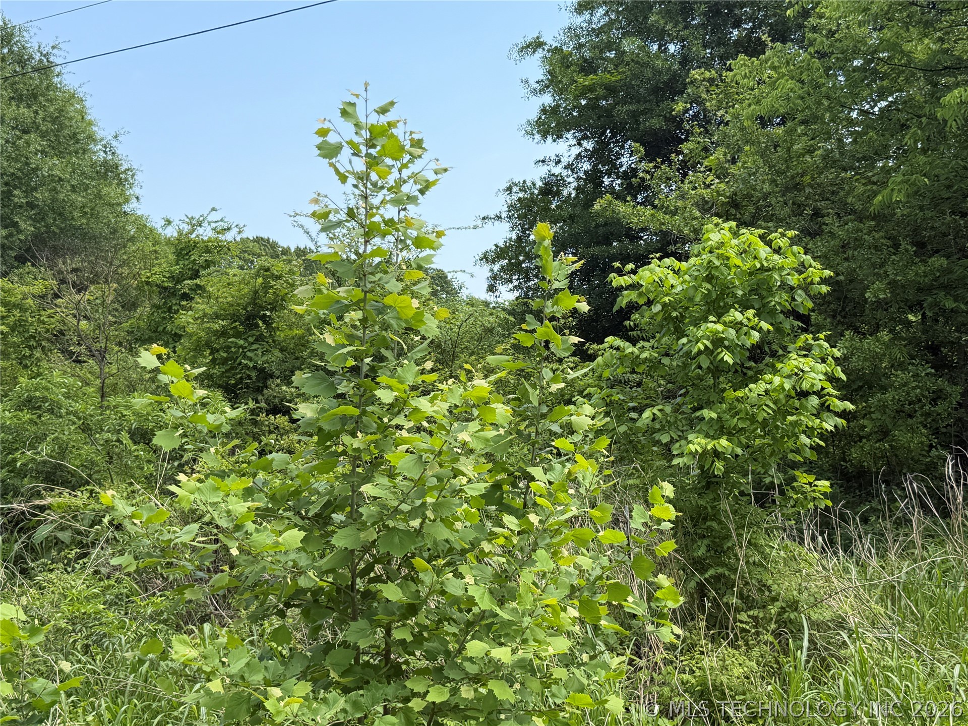 4070 Property Photo 11