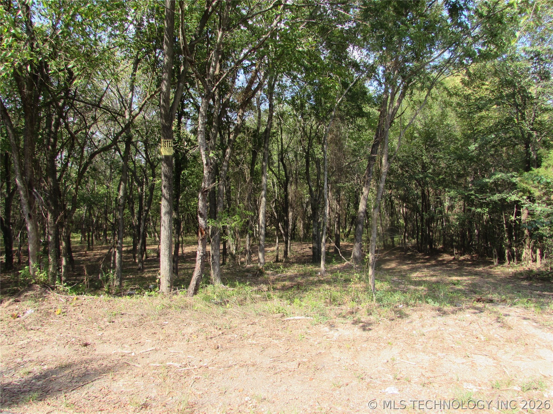 123 Gulick Street Property Photo 5