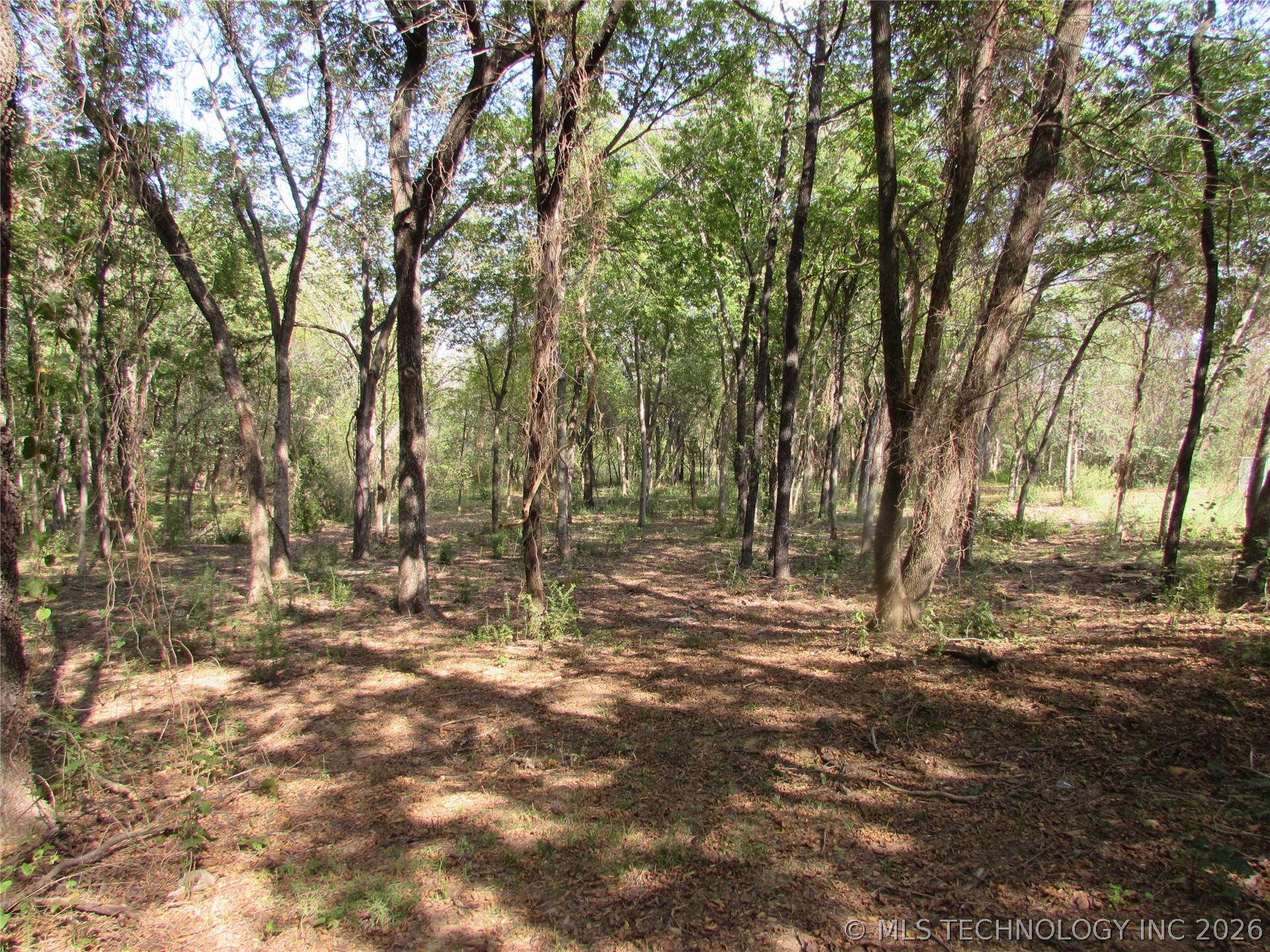 123 Gulick Street Property Photo 22