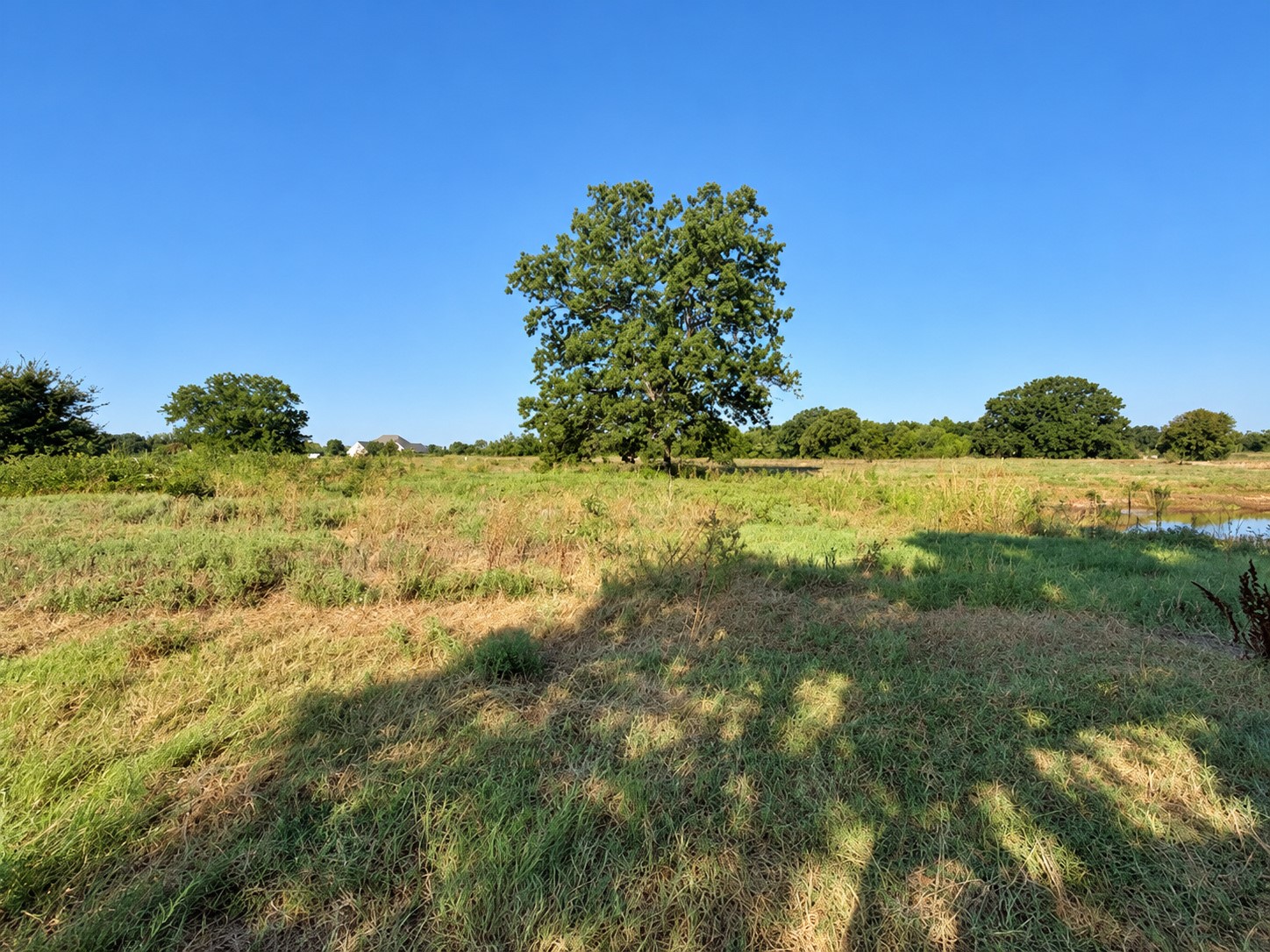 7611 Dickson Property Photo 7