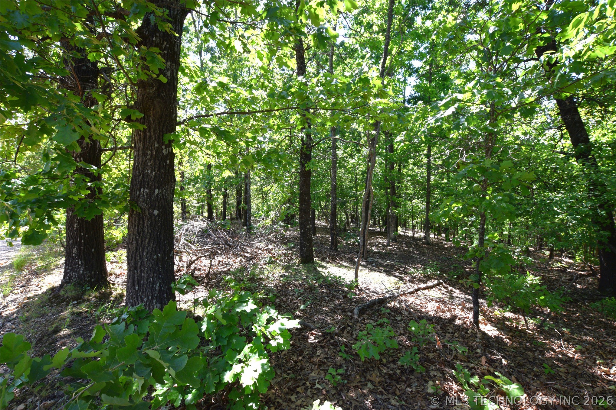 6387 Sacred Fire Ridge Road Property Photo 3