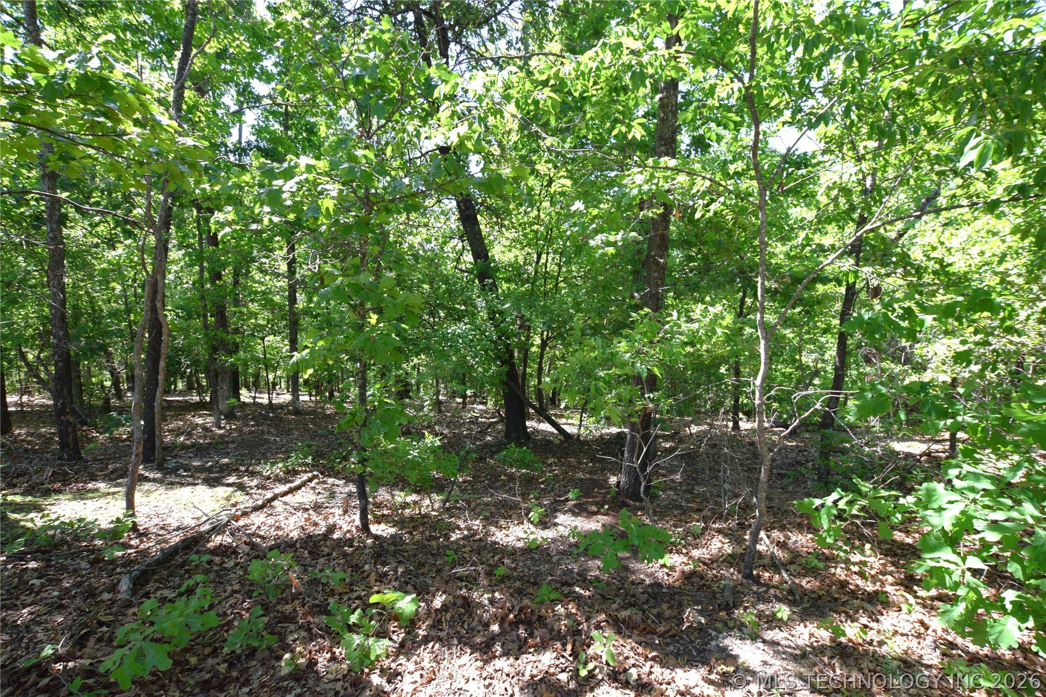 6387 Sacred Fire Ridge Road Property Photo 4