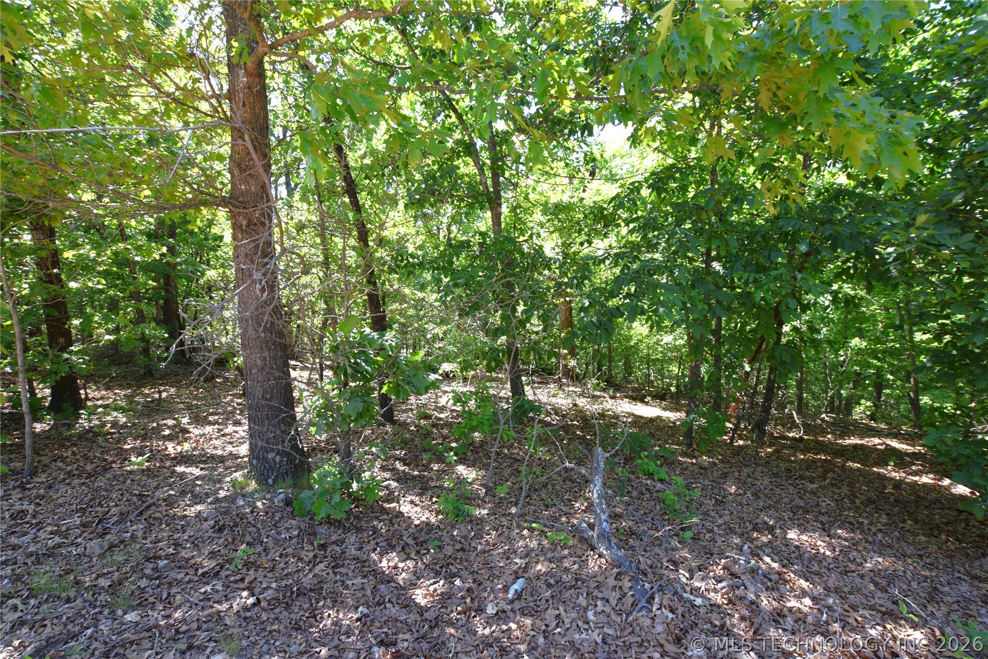 6387 Sacred Fire Ridge Road Property Photo 11