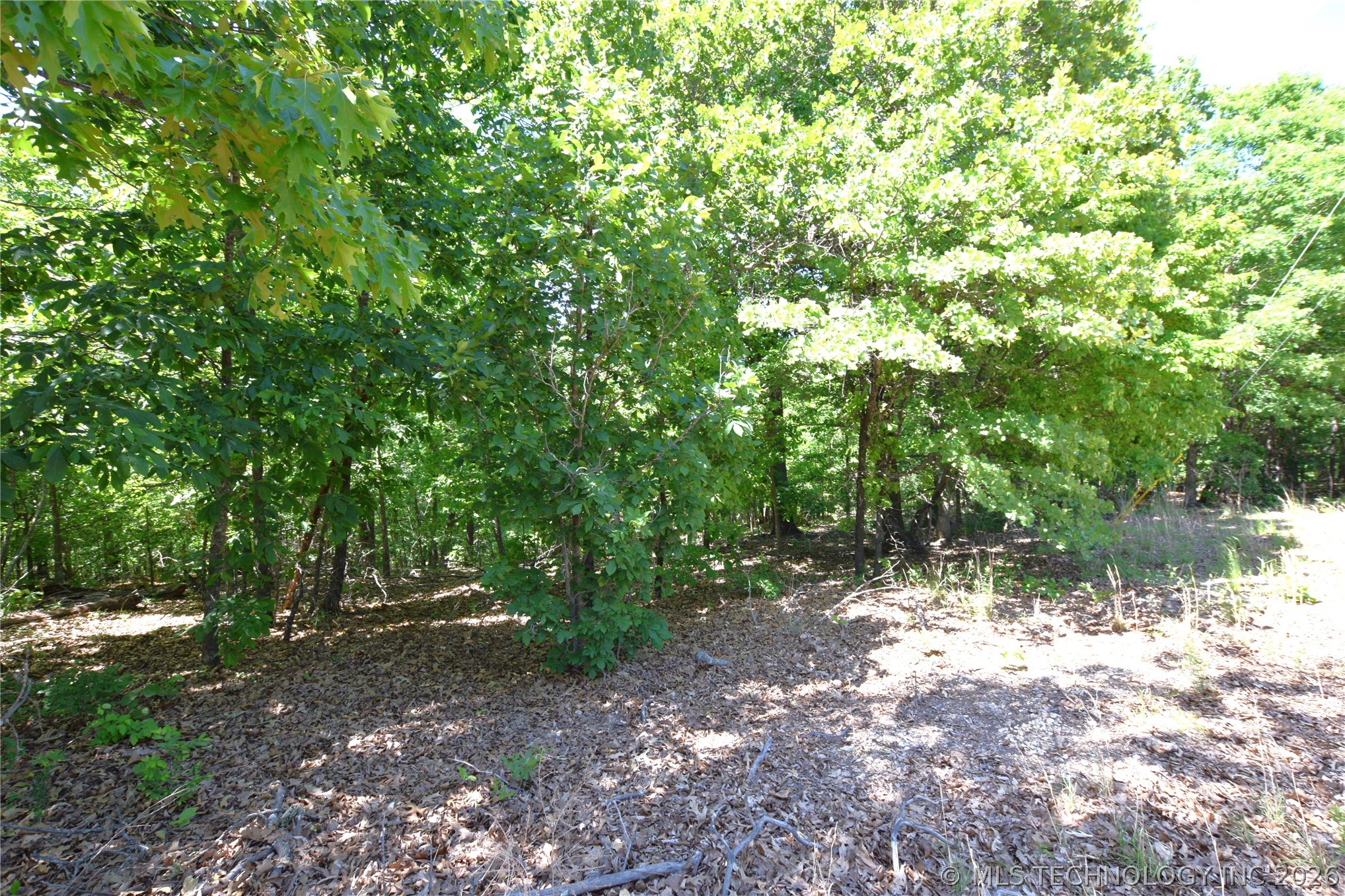 6387 Sacred Fire Ridge Road Property Photo 12
