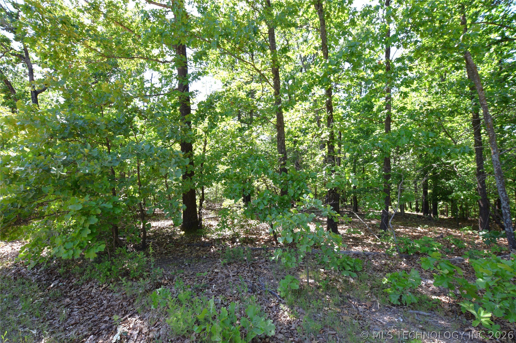 6387 Sacred Fire Ridge Road Property Photo 14