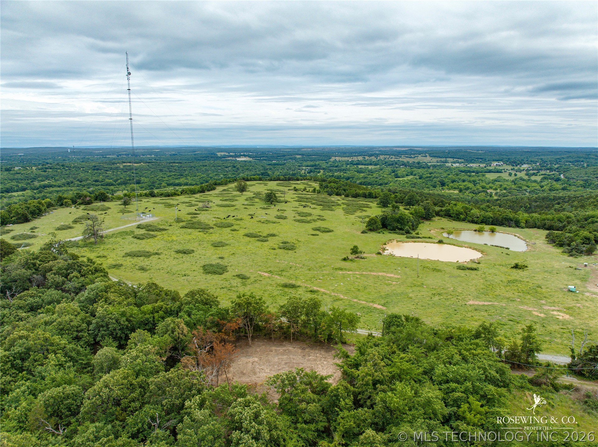 Pine Tree Road Property Photo 2