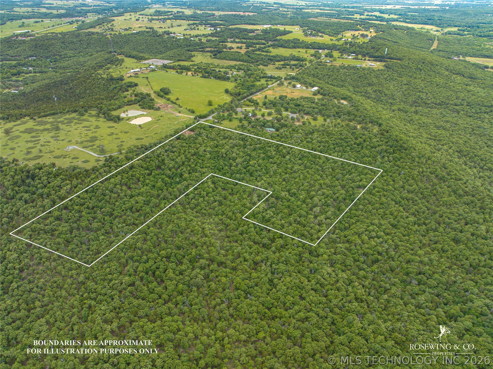 Pine Tree Road Property Photo 3