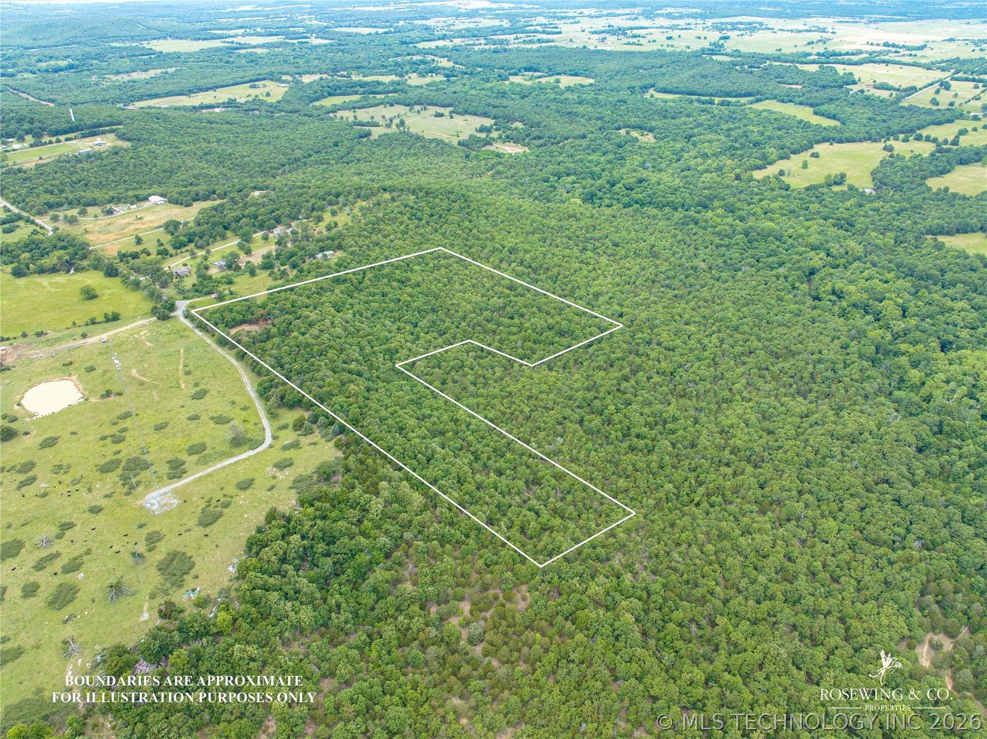 Pine Tree Road Property Photo 4